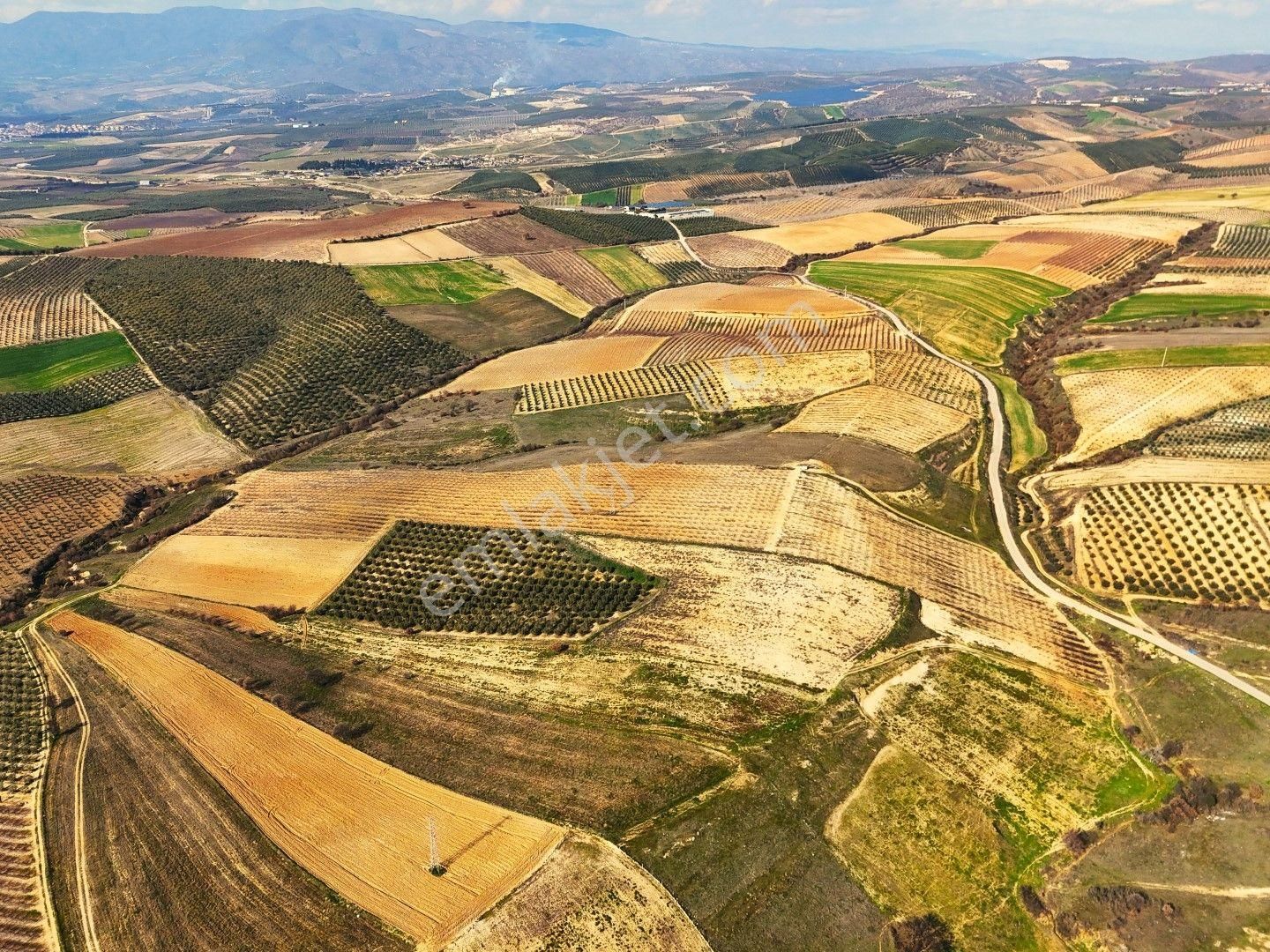 Salihli Akviran'da Satılık 31500 M2 Zeytinlik Ve Boş Tarla Video - Görsel 16