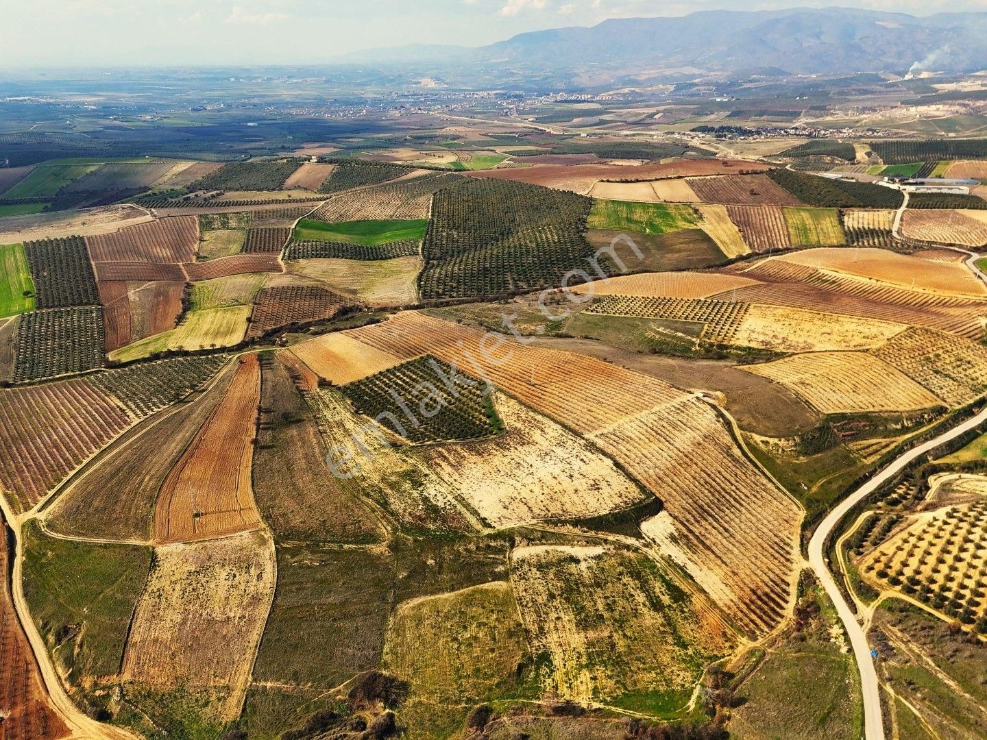 Salihli Akviran'da Satılık 31500 M2 Zeytinlik Ve Boş Tarla Video - Görsel 17