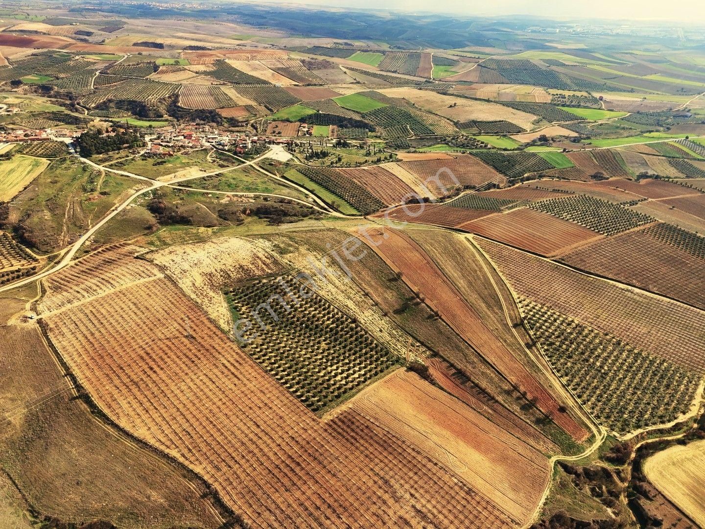 Salihli Akviran'da Satılık 31500 M2 Zeytinlik Ve Boş Tarla Video - Görsel 7