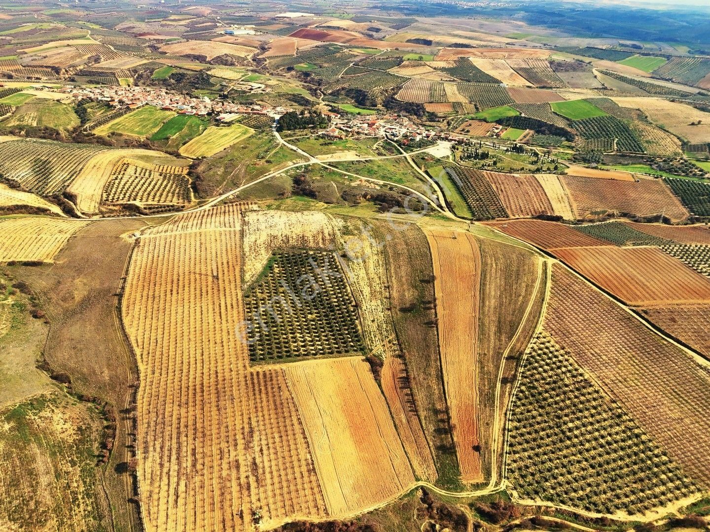 Salihli Akviran'da Satılık 31500 M2 Zeytinlik Ve Boş Tarla Video - Görsel 9