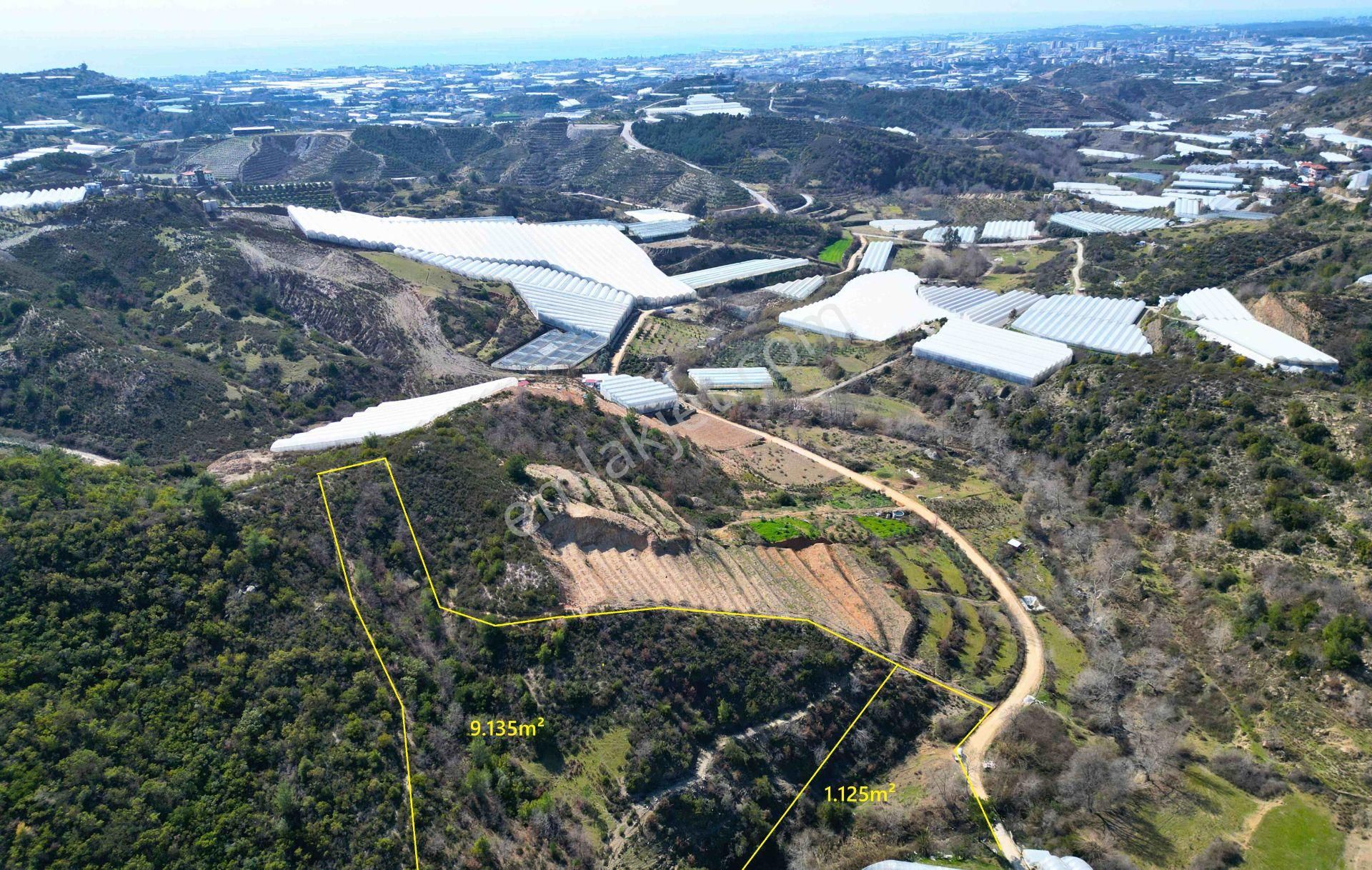 Satılık 10.260 M² İkiz Tarla, Alanya-toslak - Görsel 4