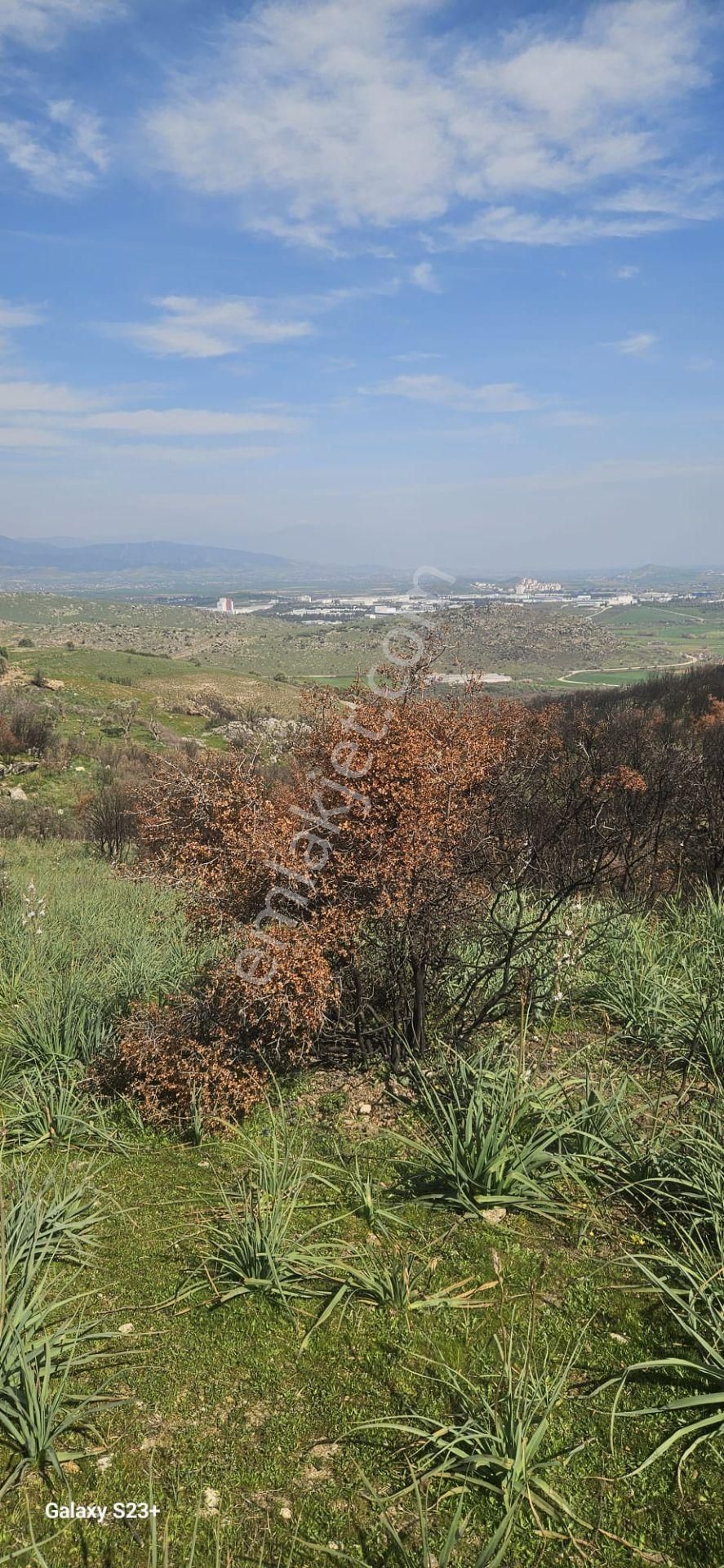 Yatırımlık Tarla Satılık! - Görsel 2