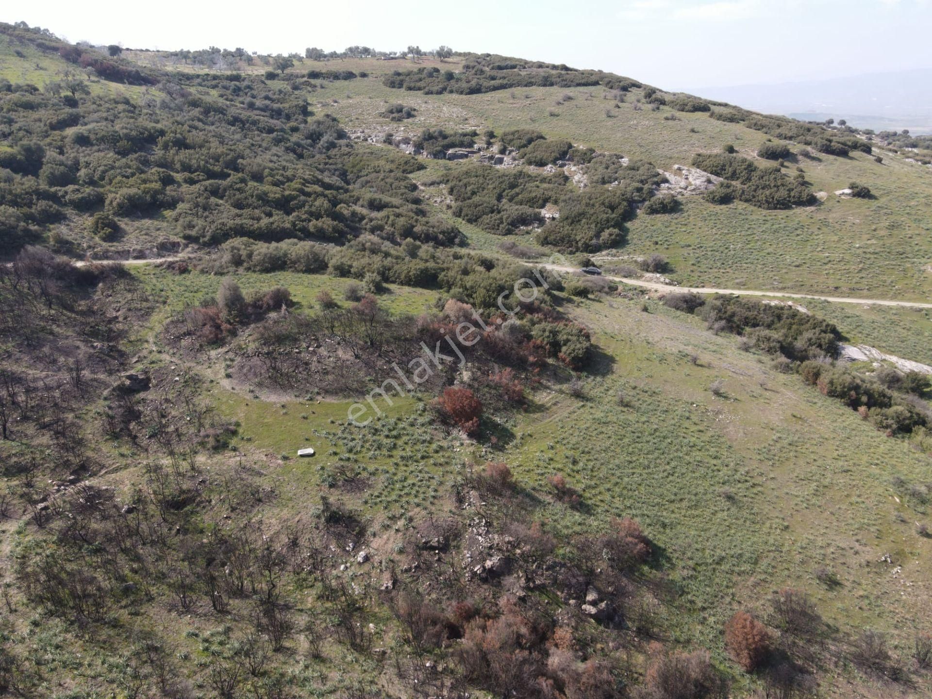 Yatırımlık Tarla Satılık! - Görsel 3