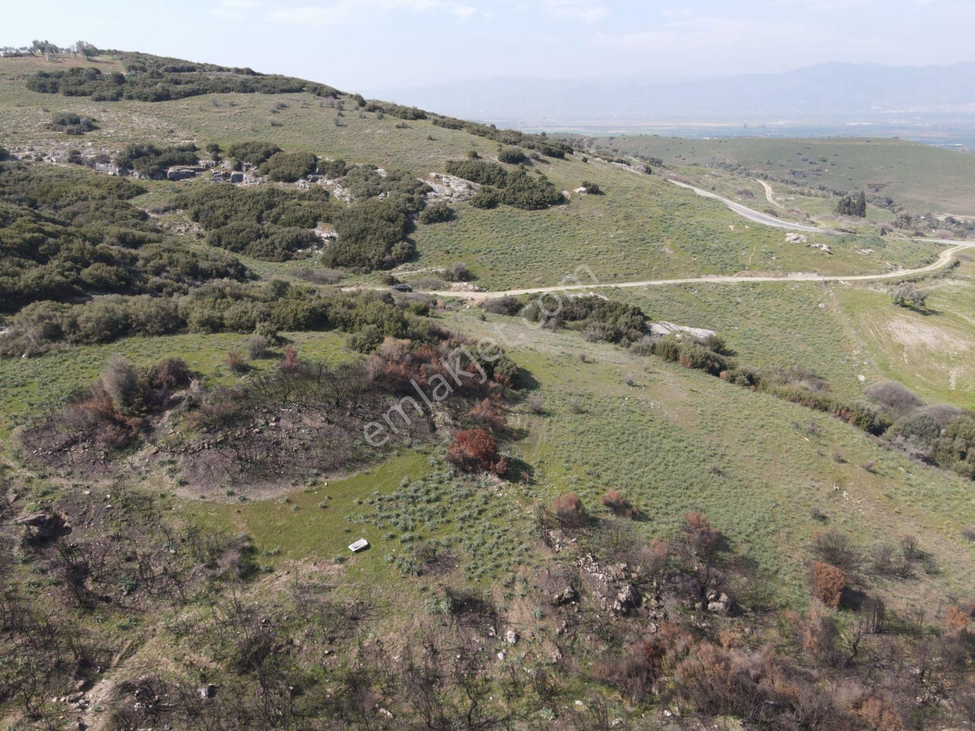 Yatırımlık Tarla Satılık! - Görsel 4