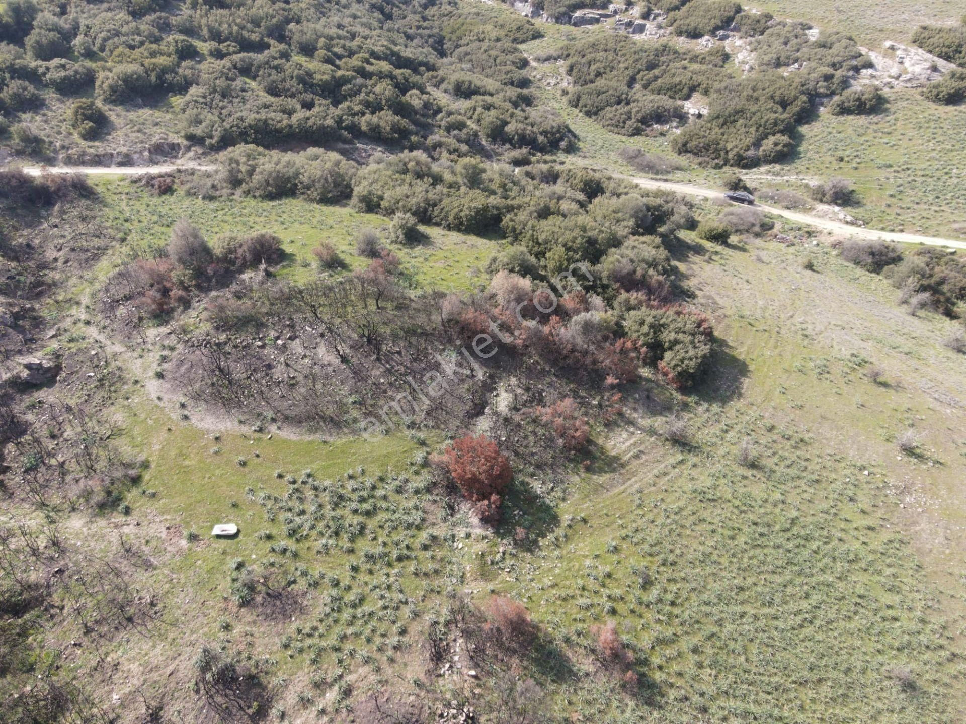 Yatırımlık Tarla Satılık! - Görsel 5