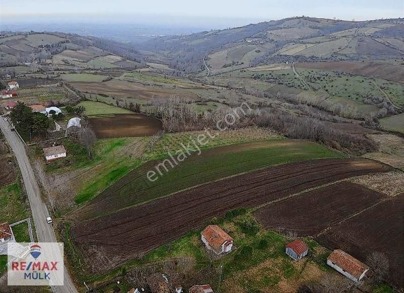 Bafra Köseli Satılık Tarla Re/max Mülk Özgür Baki'den Satılık Tarla (köyiçi)