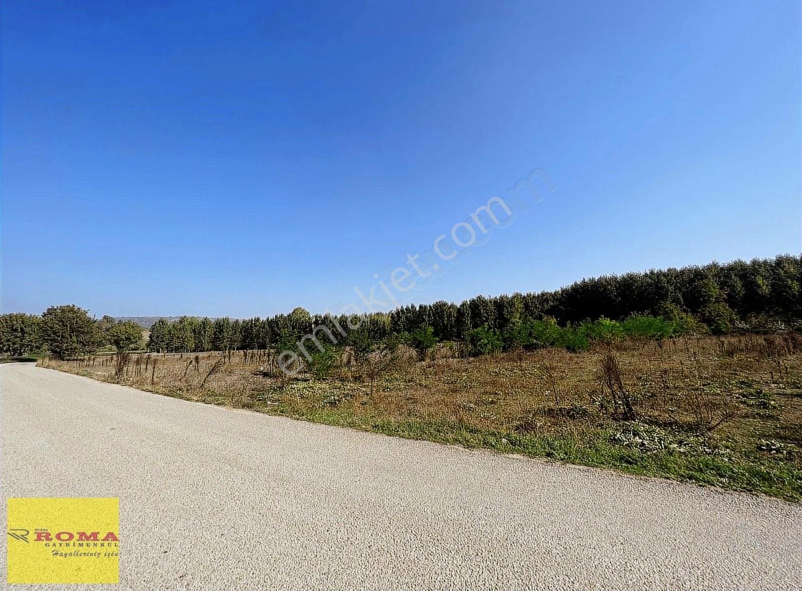 Roma' Dan Mobiliyum Yanında Satılık Ticari Arsa - Görsel 3