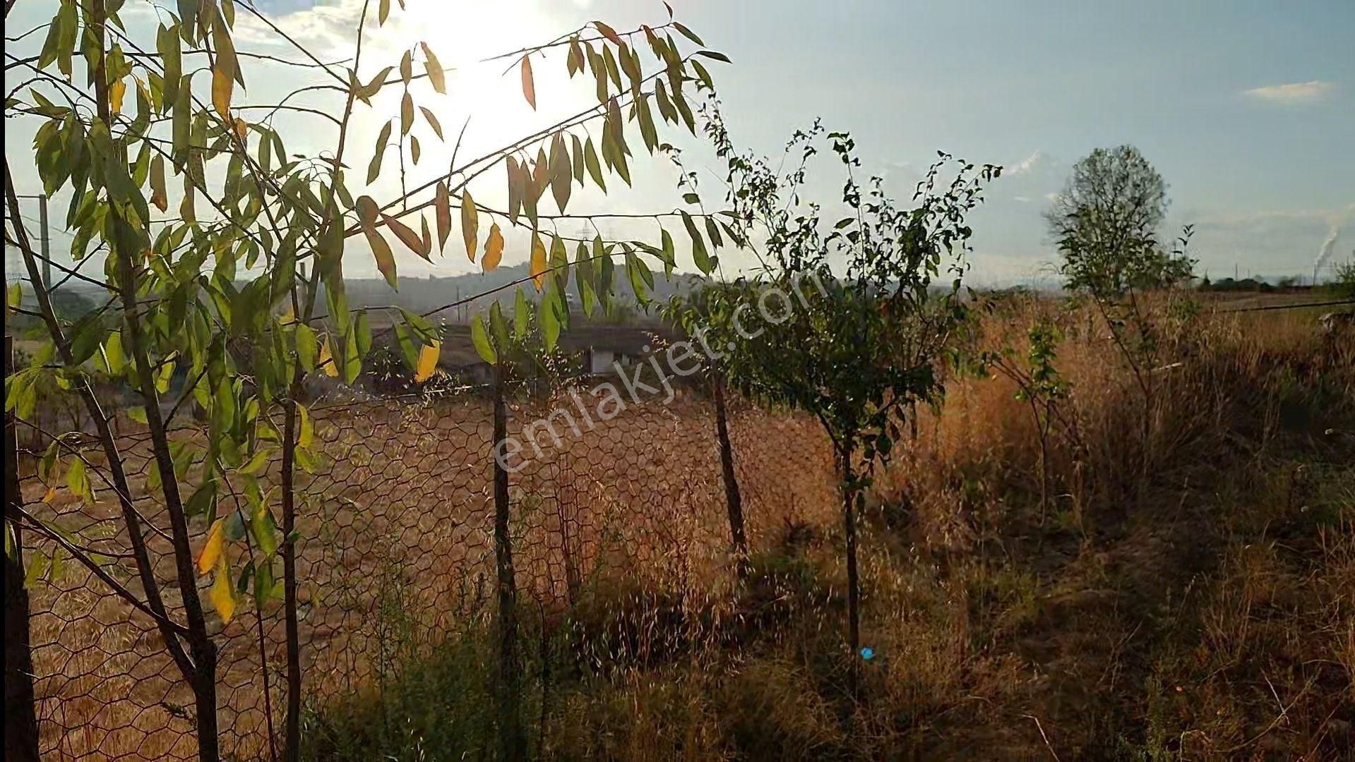502 M2 %40 İki Kat İmarlı Köy Arsası (bağ Niteliğinde) - Durali Köyü - Çan - Çanakkale - Görsel 25