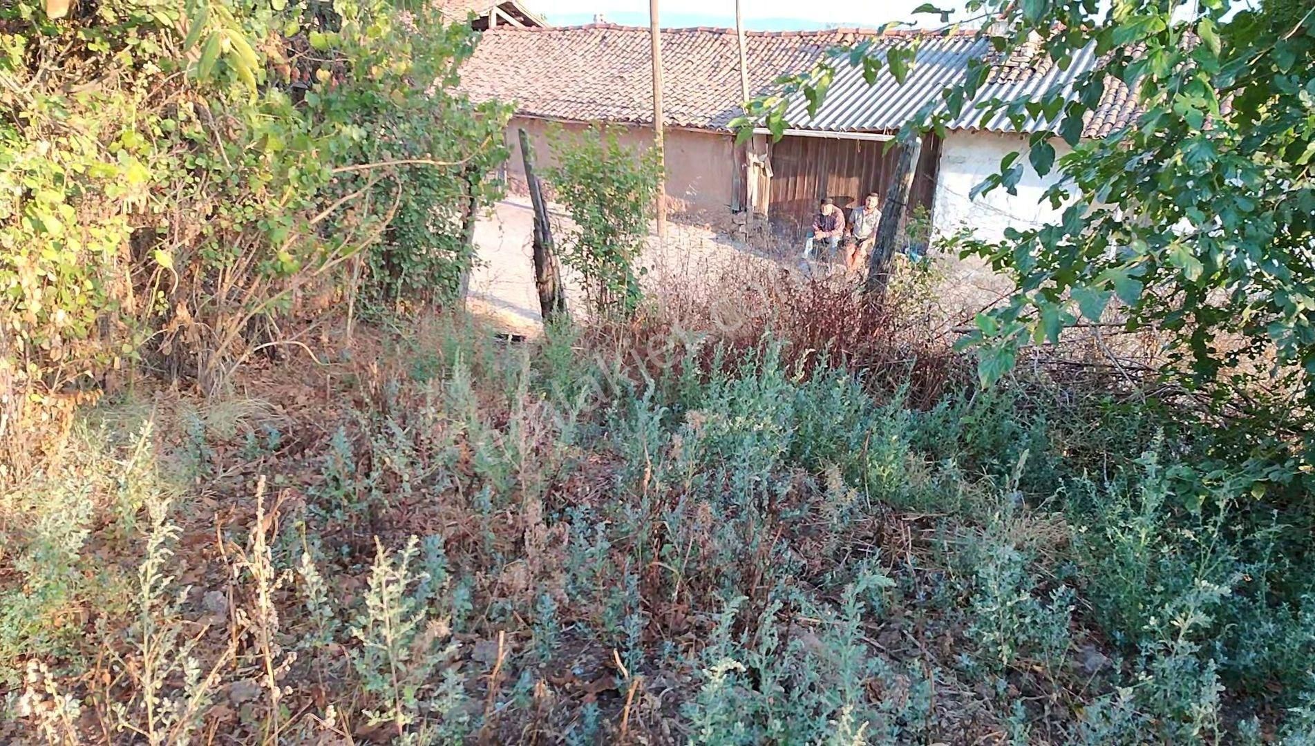 502 M2 %40 İki Kat İmarlı Köy Arsası (bağ Niteliğinde) - Durali Köyü - Çan - Çanakkale - Görsel 18