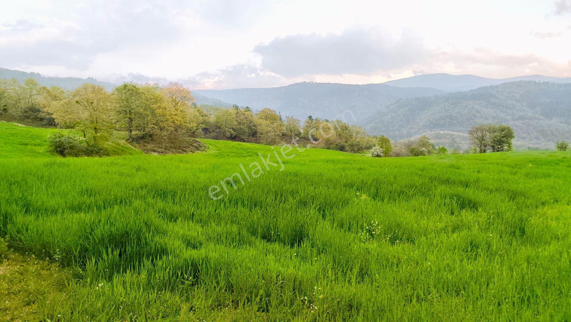 Kazdağı Manzaralı Çiftlik Yapımına Uygun 18.352 M² Tarla – Eskiyayla Köyü Çan Çanakkale