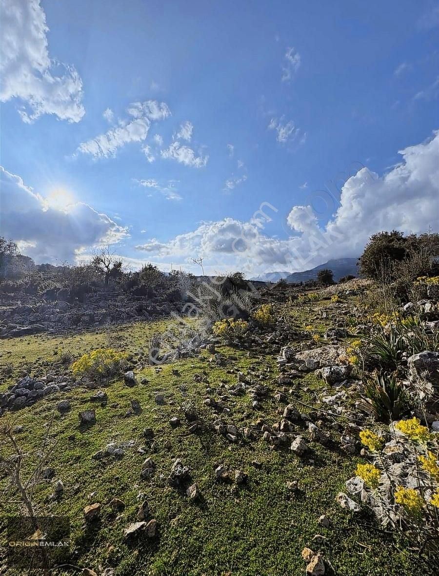 Kaş Üzümlü Satılık Tarla Kaş Üzümlü Satılık 600 M2 Arazimiz