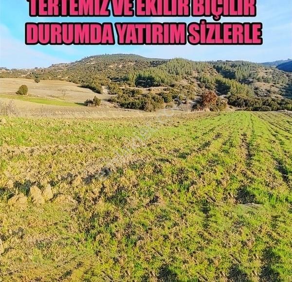 Demirci Gümele Satılık Tarla Arazi Uzmanından Manisa Gümeleden 4622 M2 Tarla