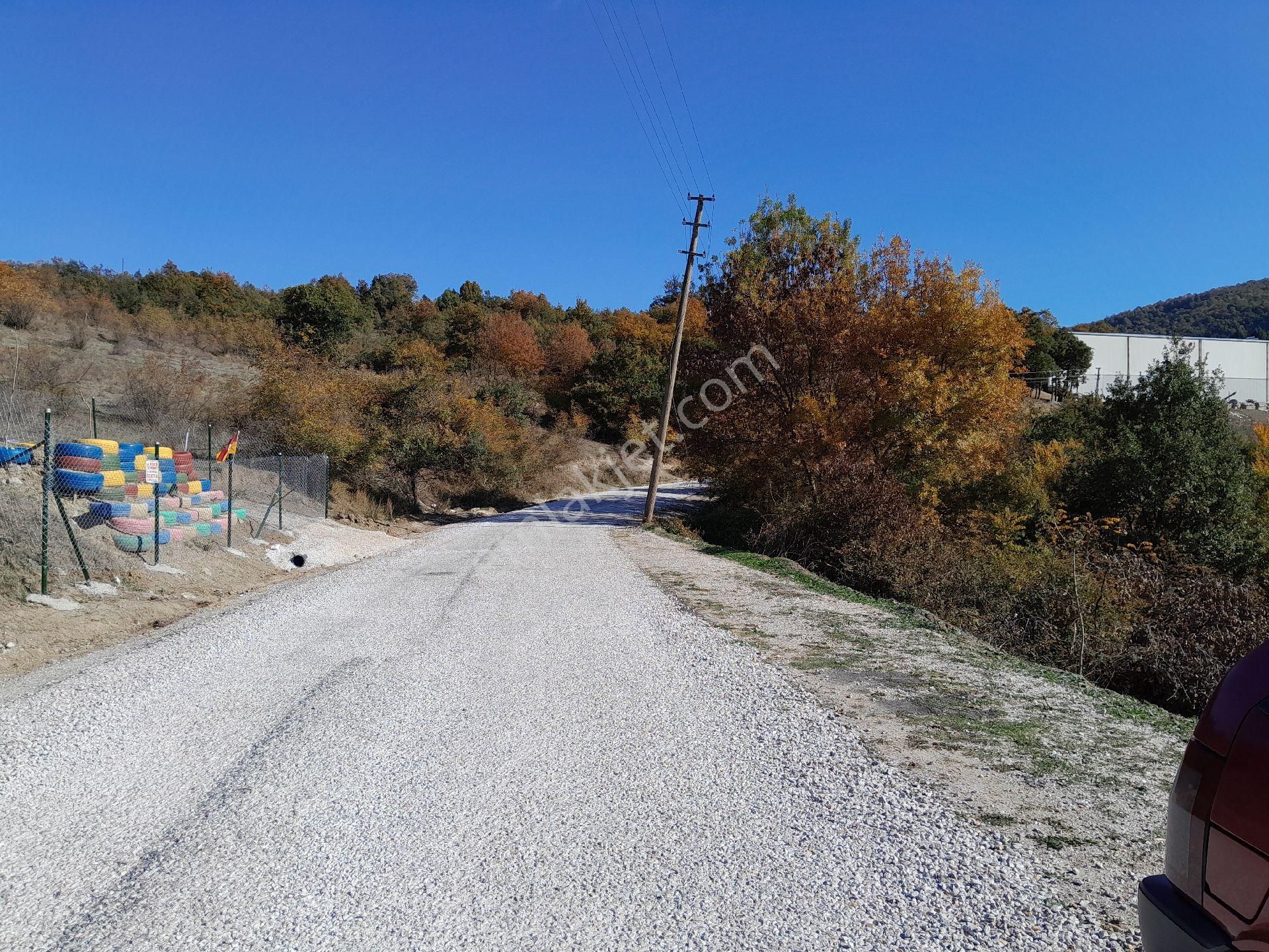 Yalova Merkez Kurtköy Köyü Satılık Tarla Satılık Tarla 178mtk