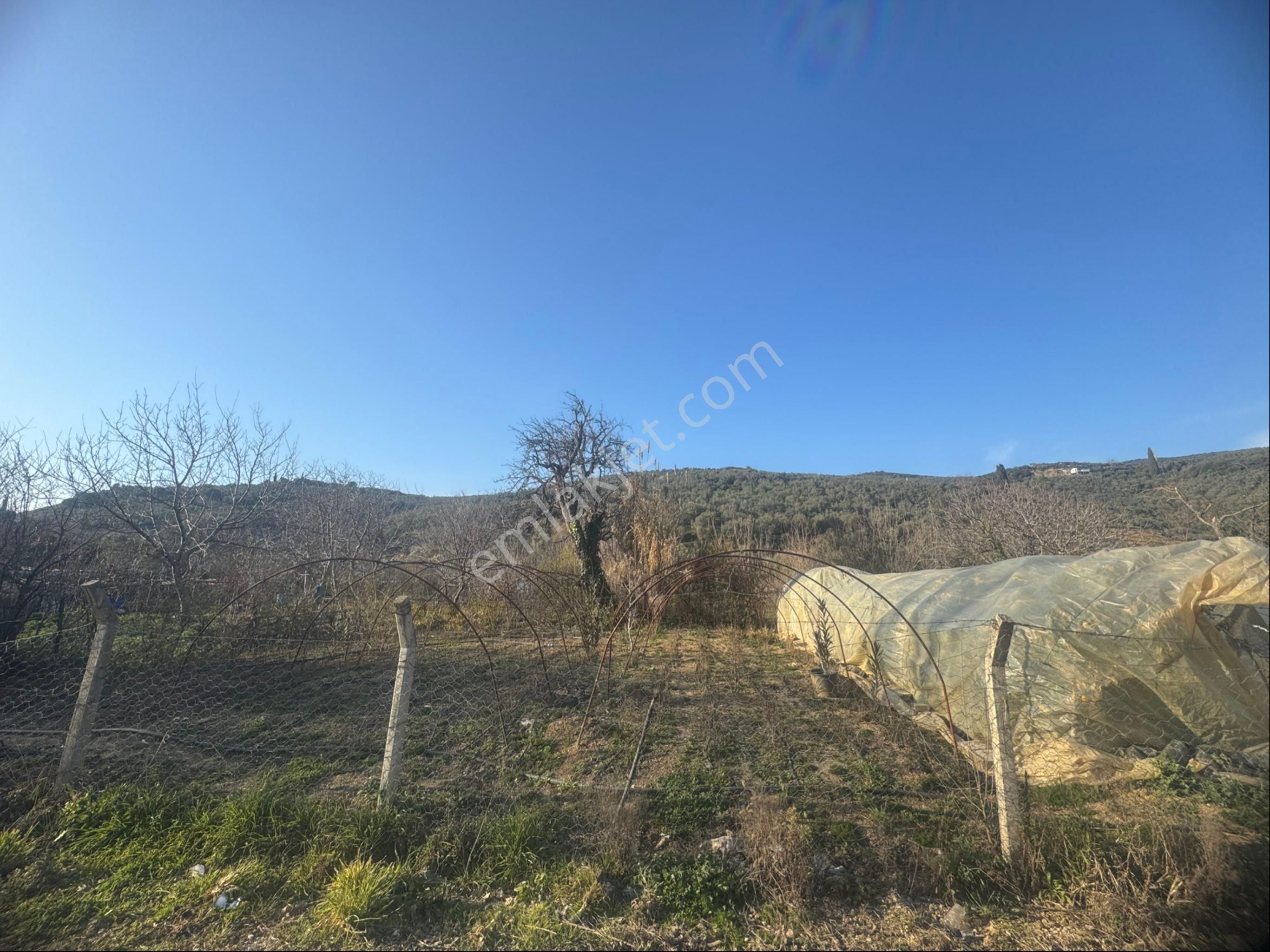 Kumla Konak Emlak”tan Satılık Yola Sıfır Arsa - Görsel 6
