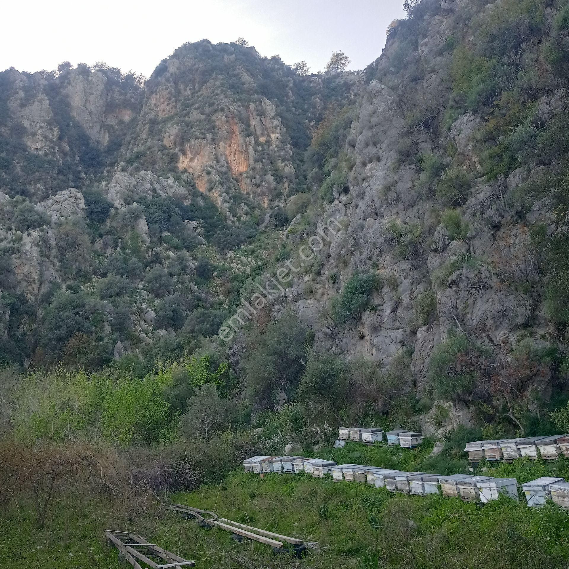 Muğla Ortaca Mergenli Satılık Tarla Müstakil Parsel - Görsel 11