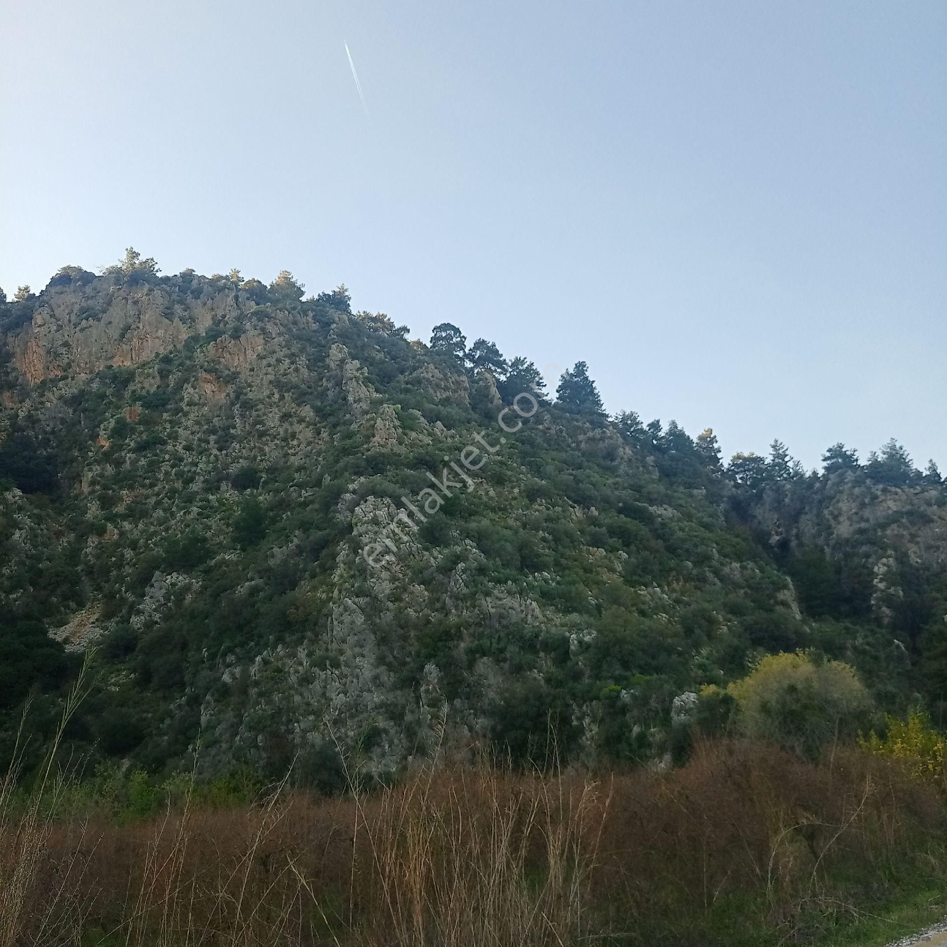 Muğla Ortaca Mergenli Satılık Tarla Müstakil Parsel - Görsel 8