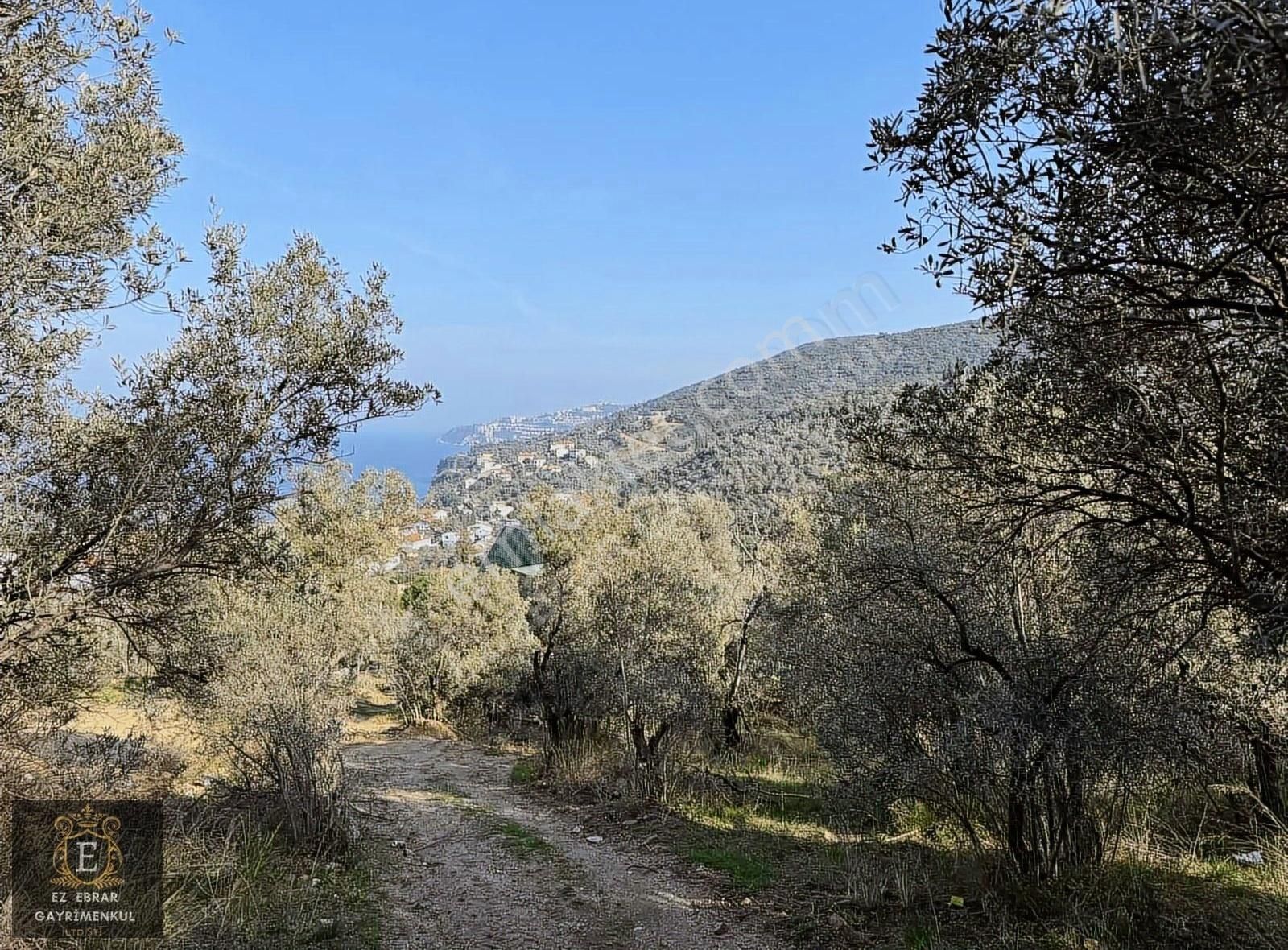 Mudanya Kumyaka Satılık Zeytinlik Mudanya Kumyaka'da Deniz Manzaralı Yatırımlık Arazi