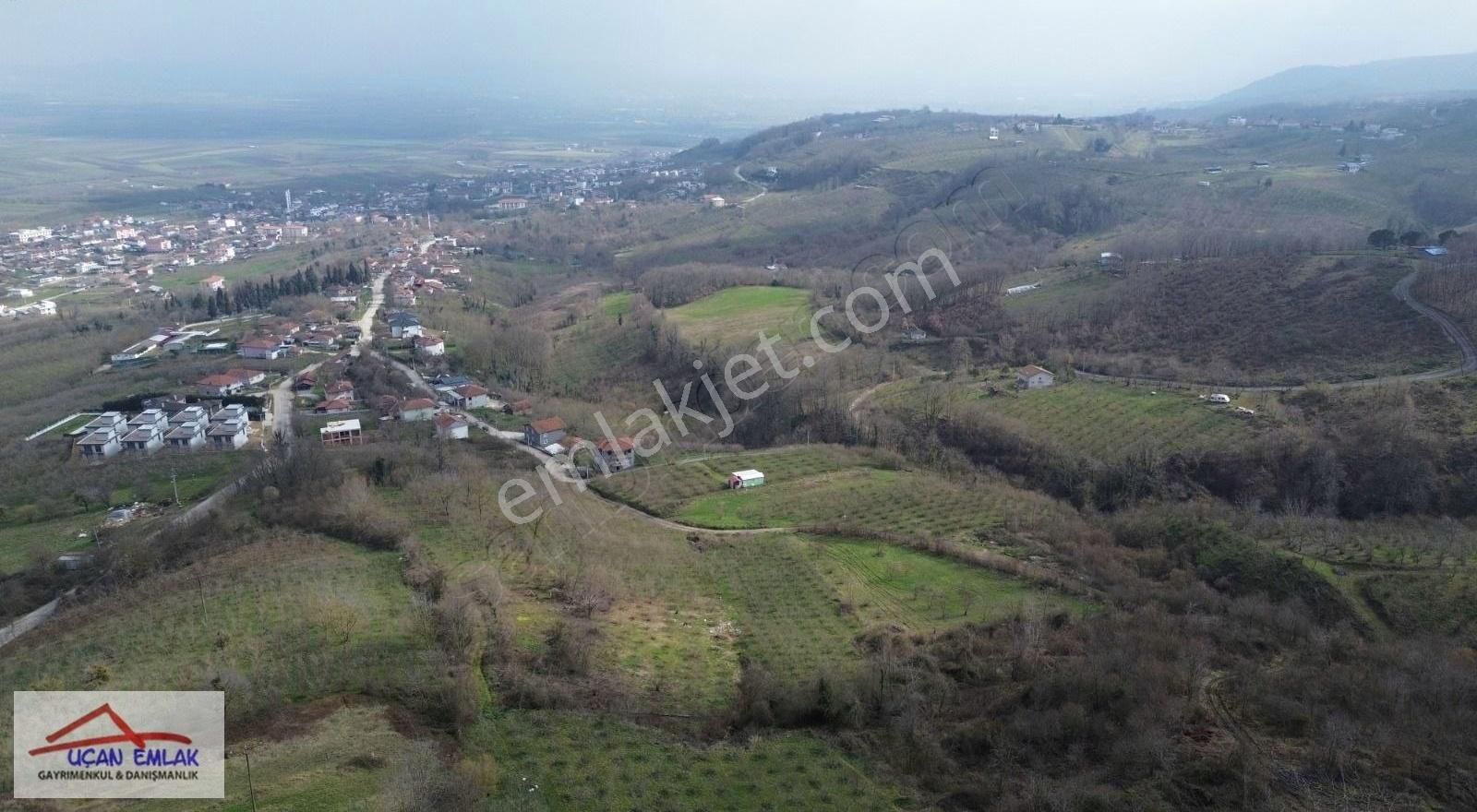 Serdivan Reşadiye Satılık Tarla Kazımpaşa Reşadiye Satılık Arazi