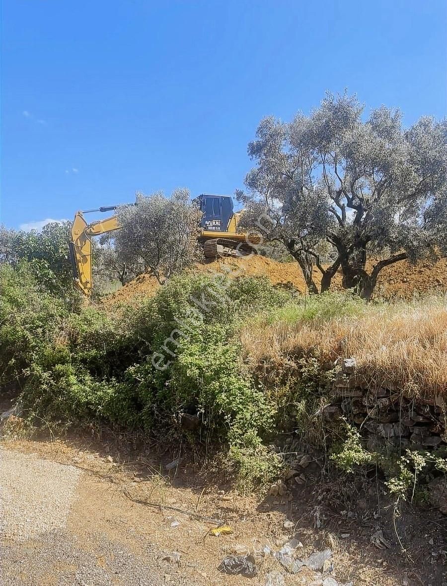 Kemalpaşa Sarılar Köyünde Villa İmarlı Arsa - Görsel 14