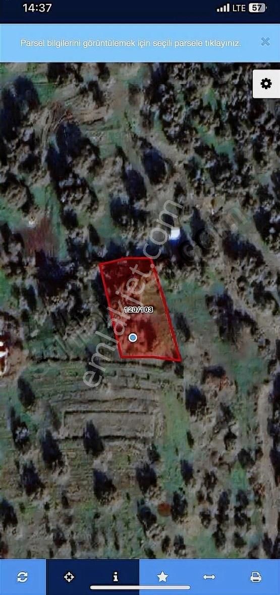 Kemalpaşa Sarılar Köyünde Villa İmarlı Arsa - Görsel 24