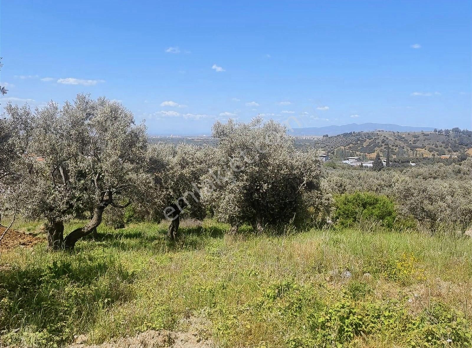 Kemalpaşa Sarılar Köyünde Villa İmarlı Arsa - Görsel 17