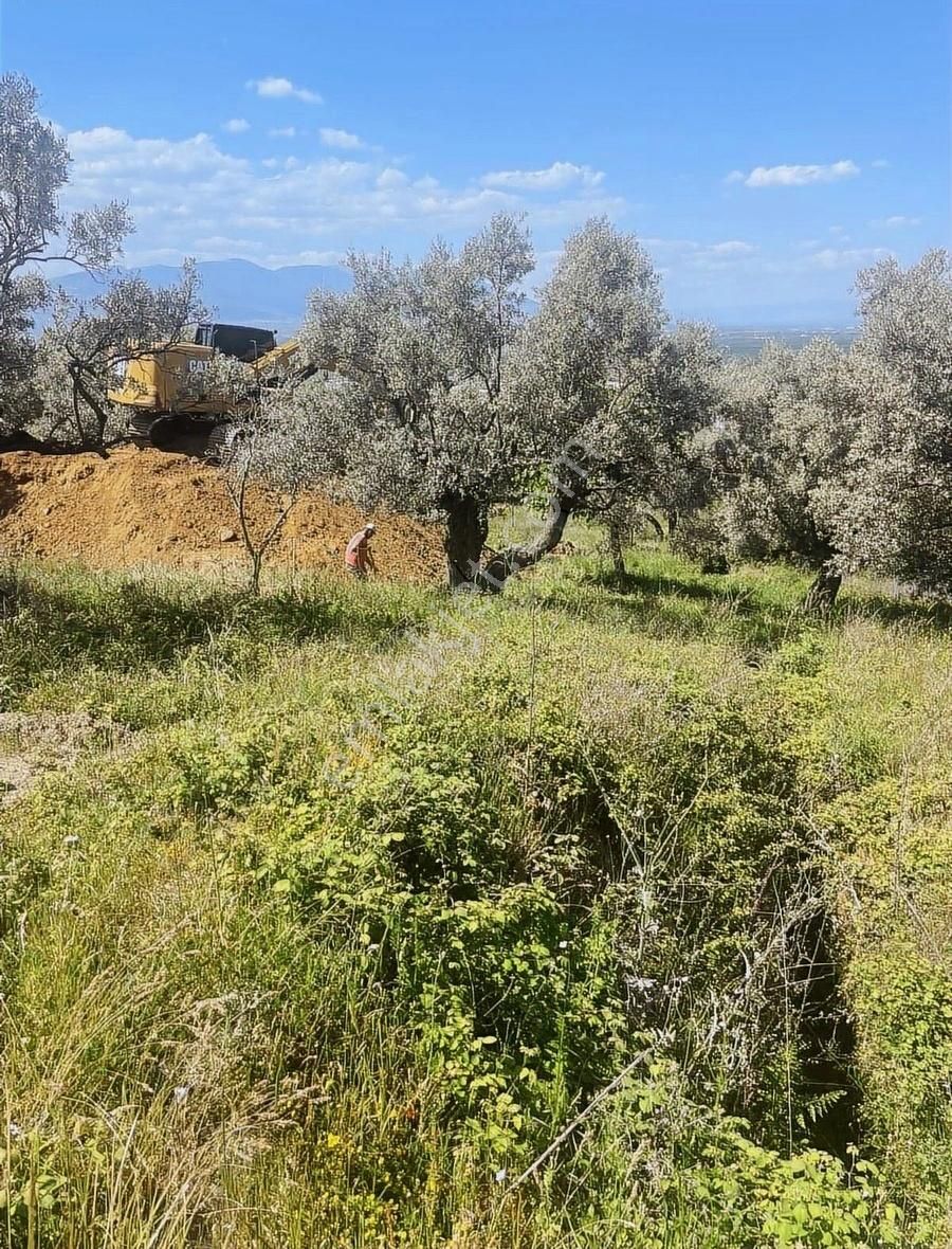 Kemalpaşa Sarılar Köyünde Villa İmarlı Arsa - Görsel 18