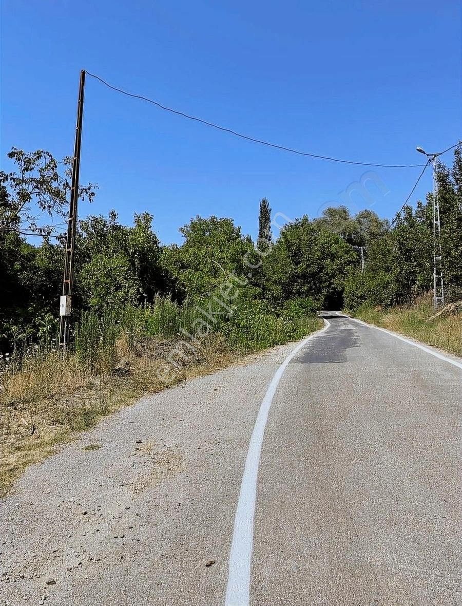 Kemalpaşa Ovacık Köyünde Ceviz Ve Çeşitli Meyve Bahçesi - Görsel 5