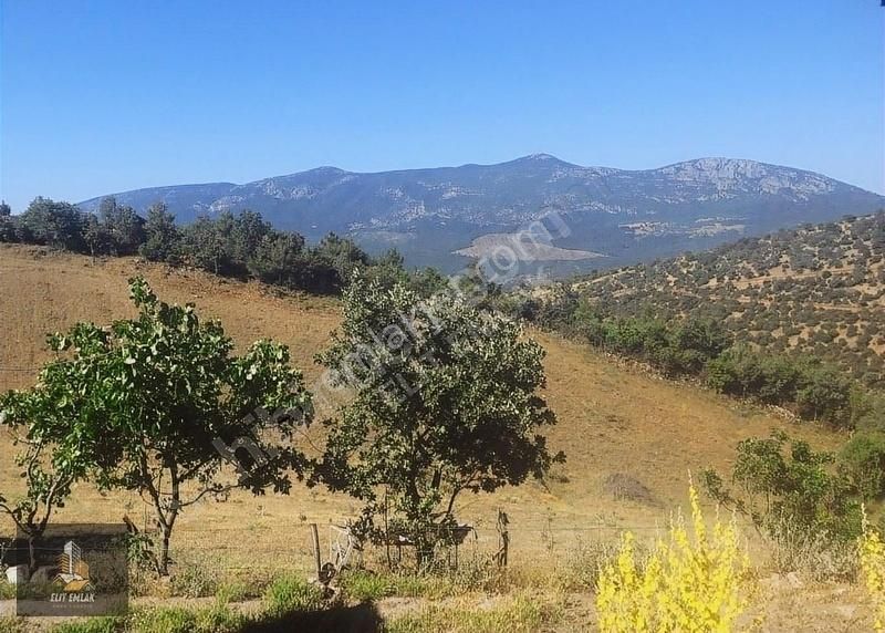 Akhisar Kocakağan Satılık Zeytinlik Elit Emlak'tan İçerisinde Evi Olan Fırsat Arazi