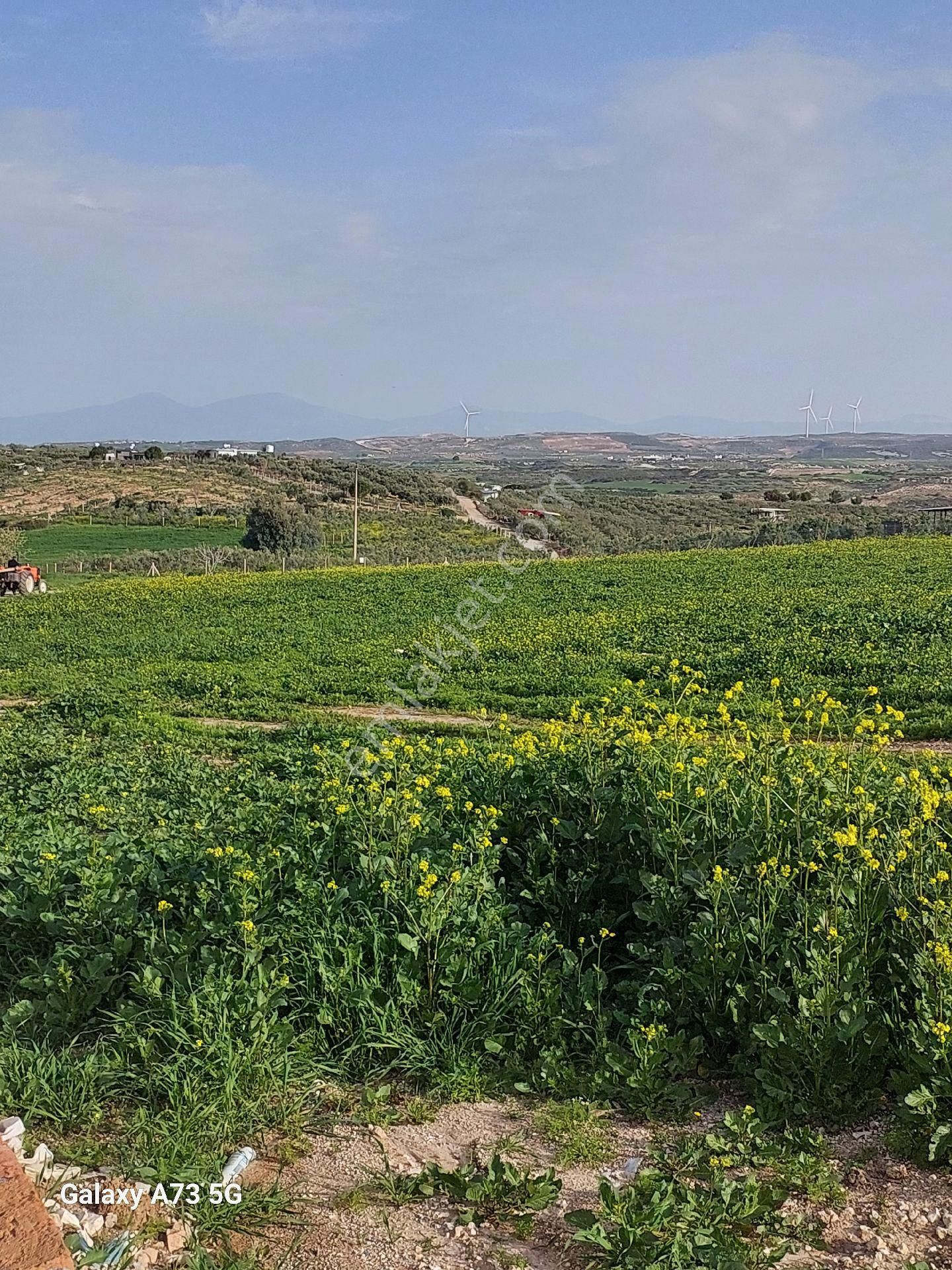 💥🏠aydın Didim Hisar Mahallesinde Satılık Havuzlu Site İçerisinde Bahçeli Dubleks Villa 💥🏠 - Görsel 35