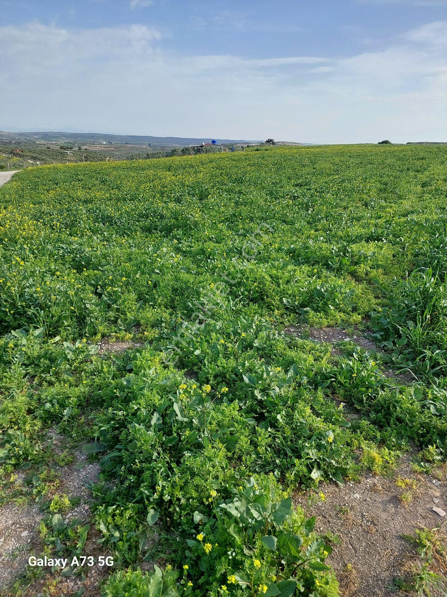 💥🏠aydın Didim Hisar Mahallesinde Satılık Havuzlu Site İçerisinde Bahçeli Dubleks Villa 💥🏠 - Görsel 32