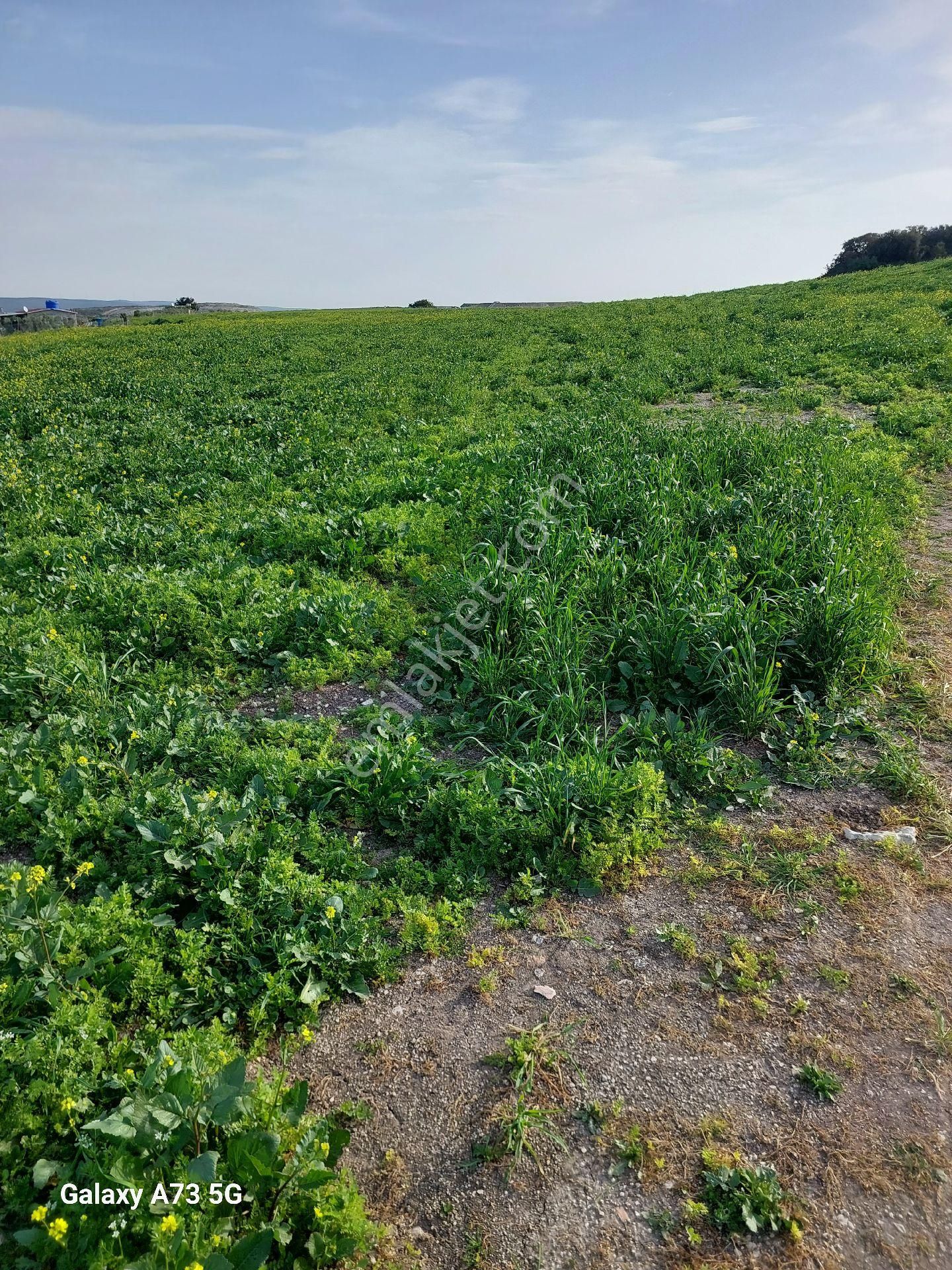 💥🏠aydın Didim Hisar Mahallesinde Satılık Havuzlu Site İçerisinde Bahçeli Dubleks Villa 💥🏠 - Görsel 33