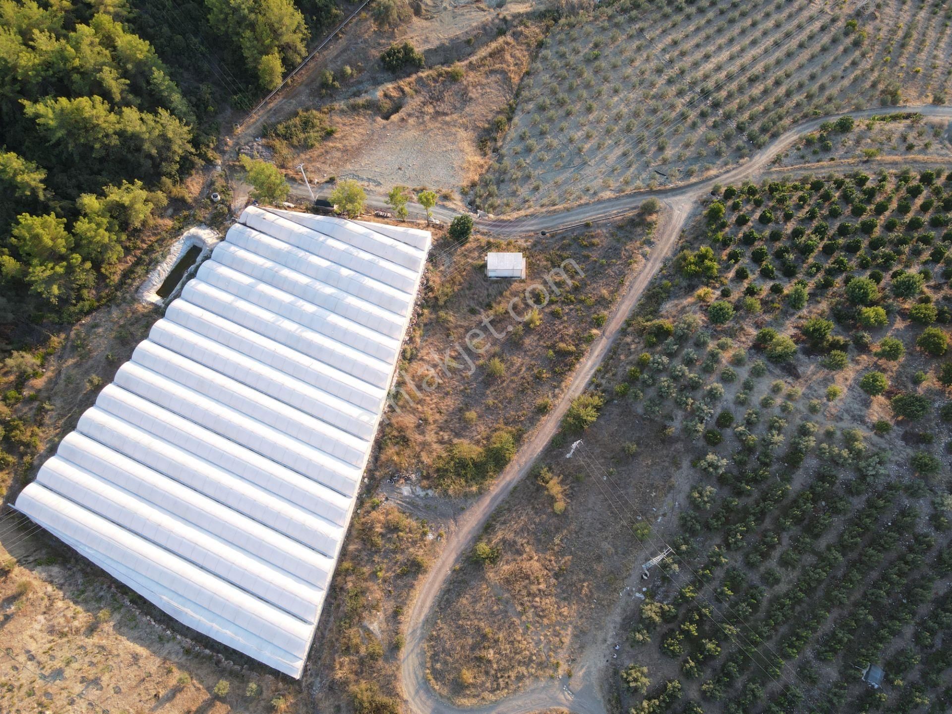 Antalya Kumluca Hasanağa Köyü Satılık Tarla - Görsel 4