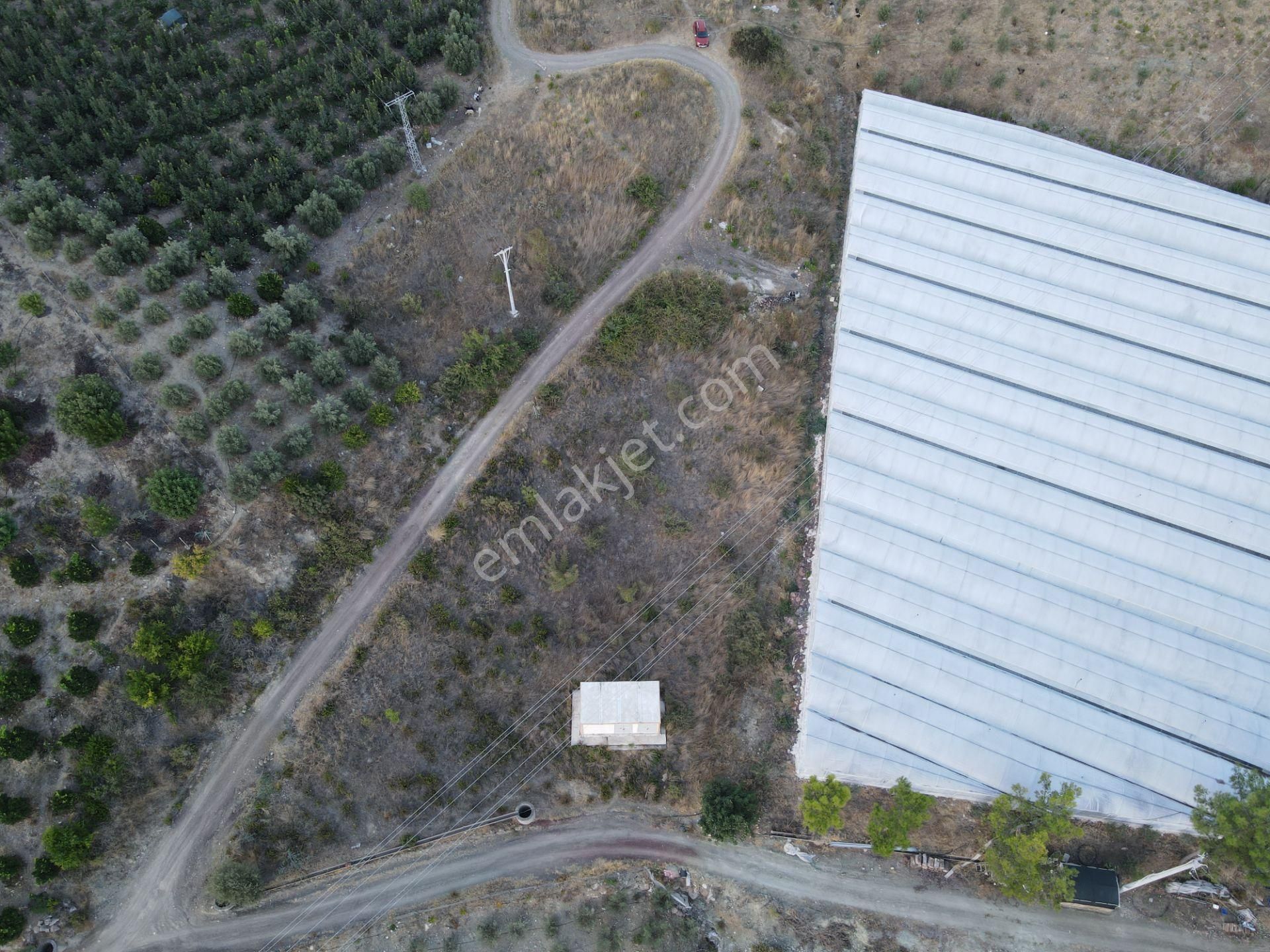 Antalya Kumluca Hasanağa Köyü Satılık Tarla - Görsel 23