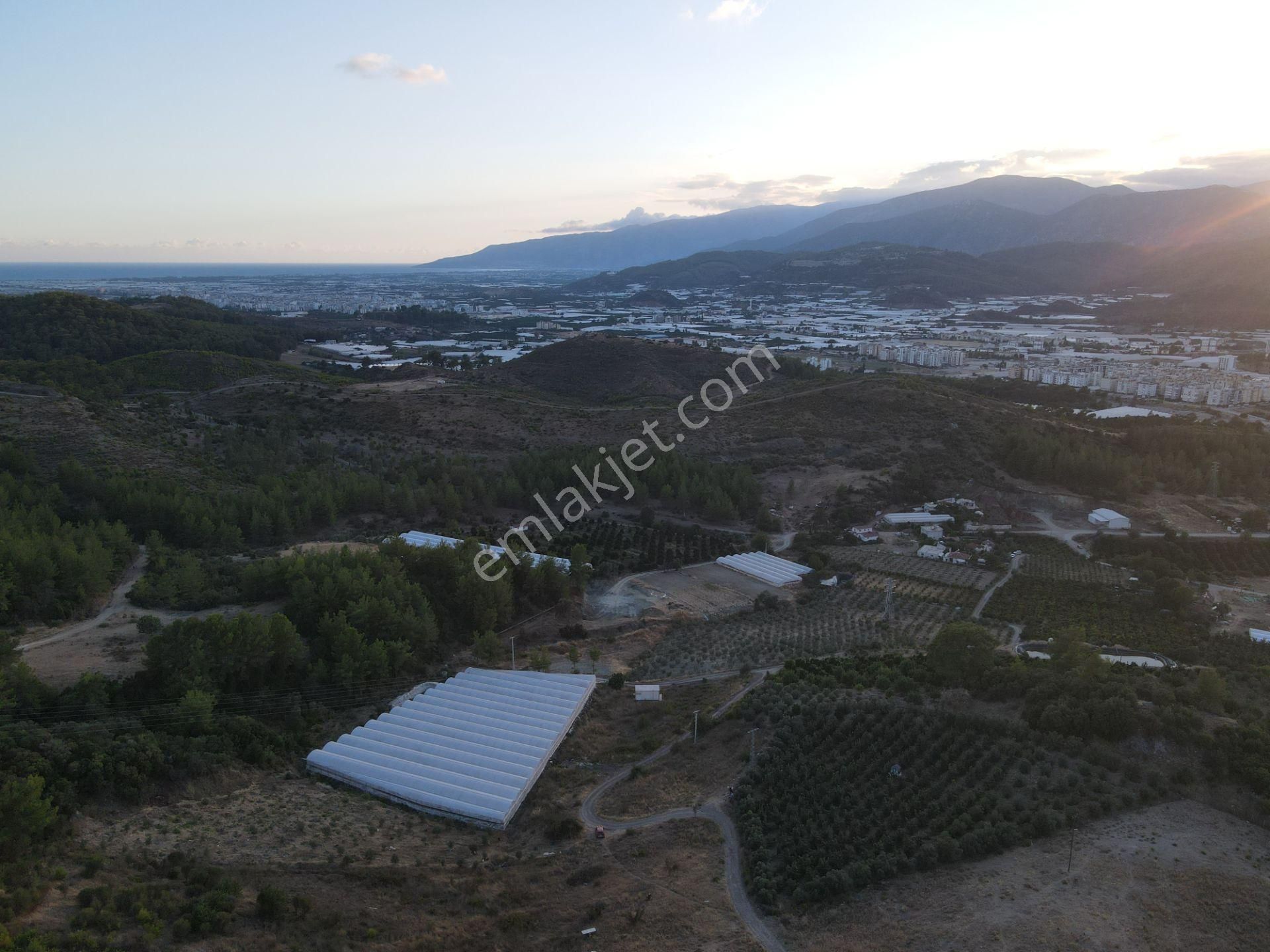 Antalya Kumluca Hasanağa Köyü Satılık Tarla - Görsel 10