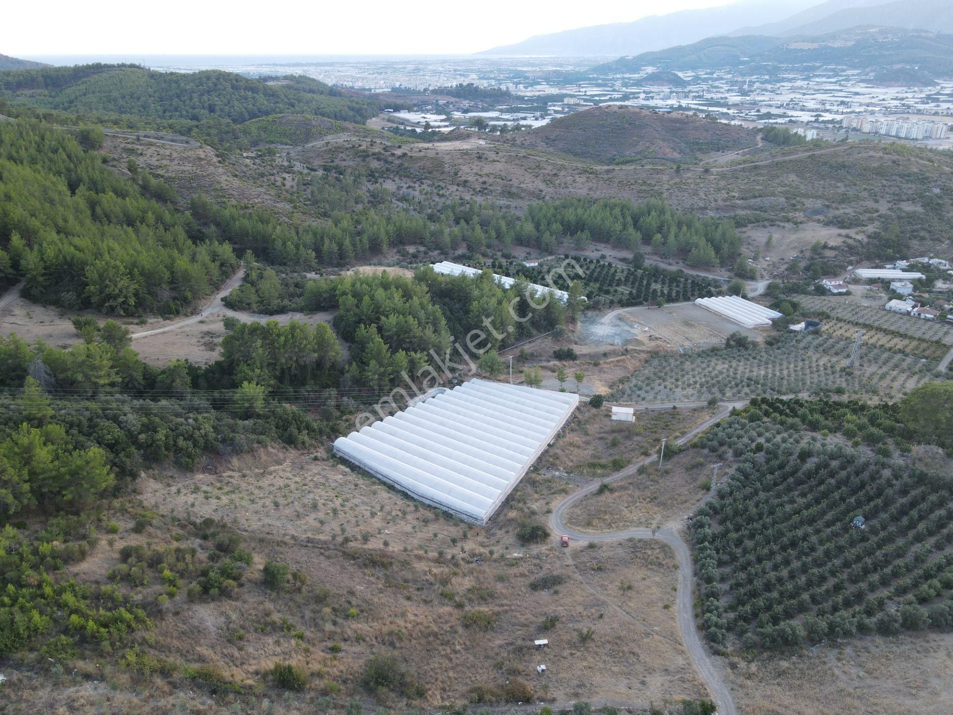 Antalya Kumluca Hasanağa Köyü Satılık Tarla - Görsel 16