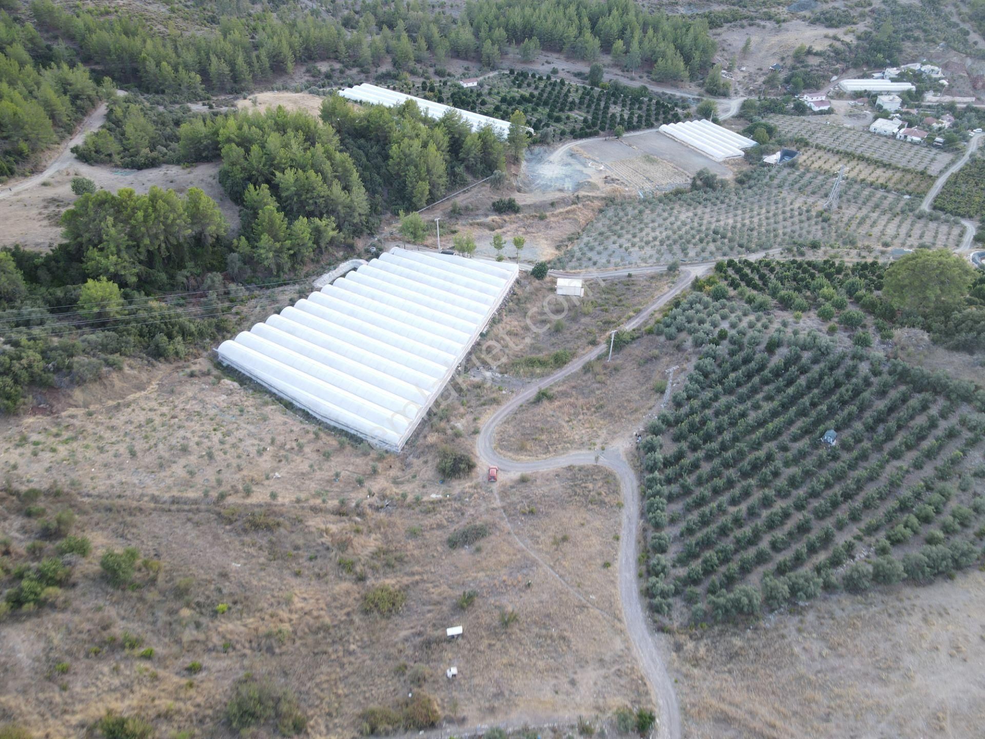 Antalya Kumluca Hasanağa Köyü Satılık Tarla - Görsel 18