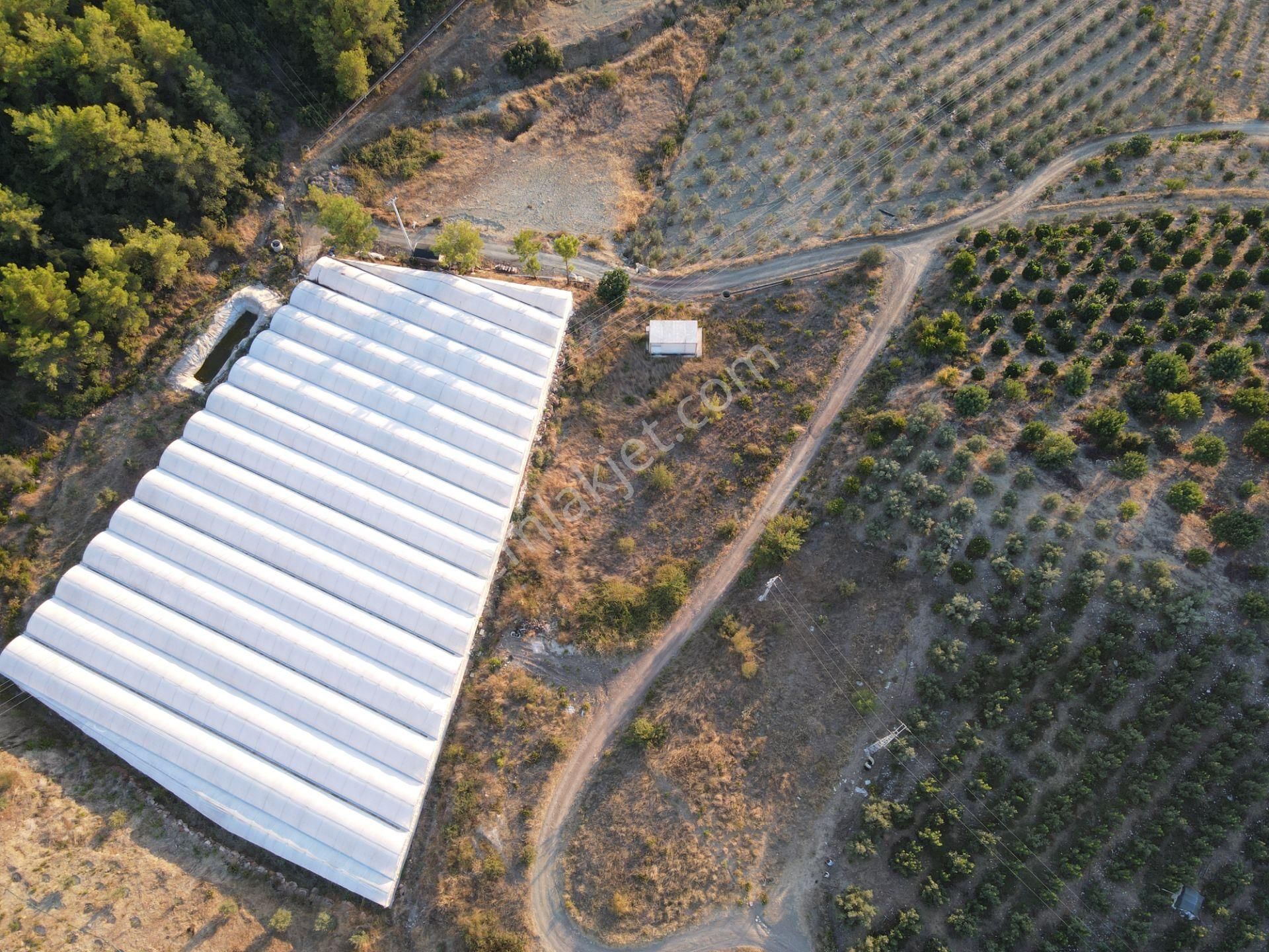 Antalya Kumluca Hasanağa Köyü Satılık Tarla - Görsel 3