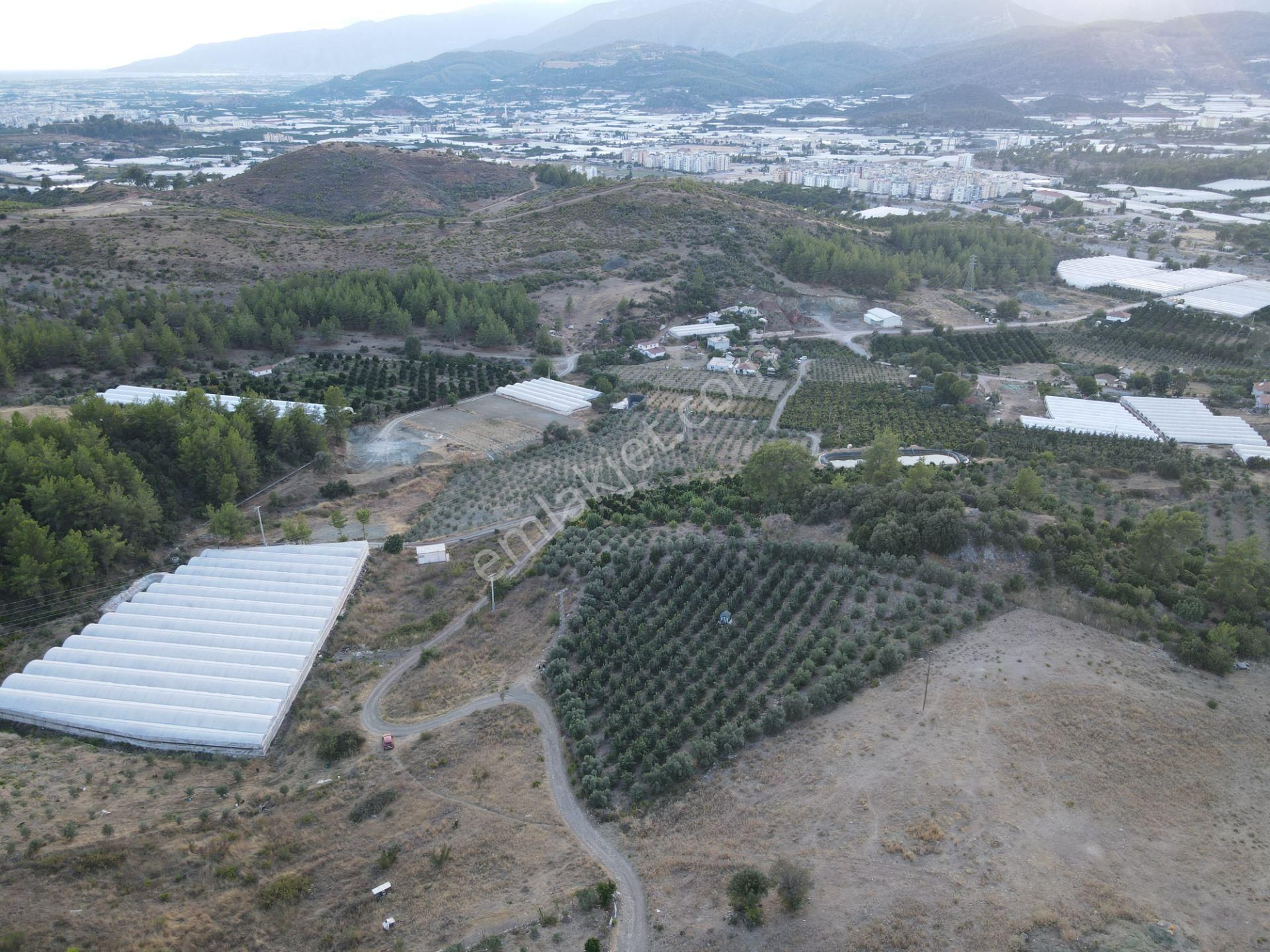 Antalya Kumluca Hasanağa Köyü Satılık Tarla - Görsel 17
