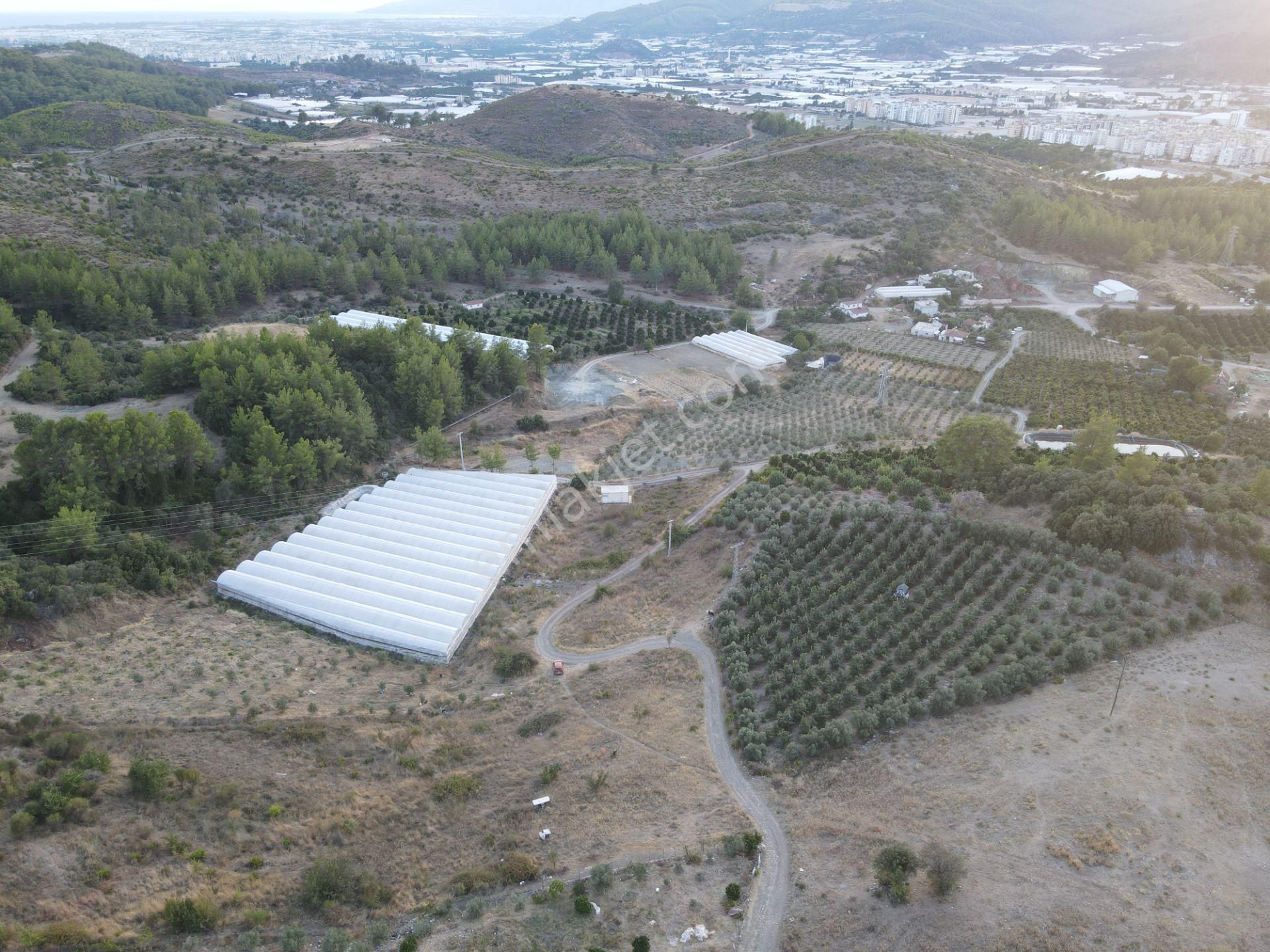 Antalya Kumluca Hasanağa Köyü Satılık Tarla - Görsel 14