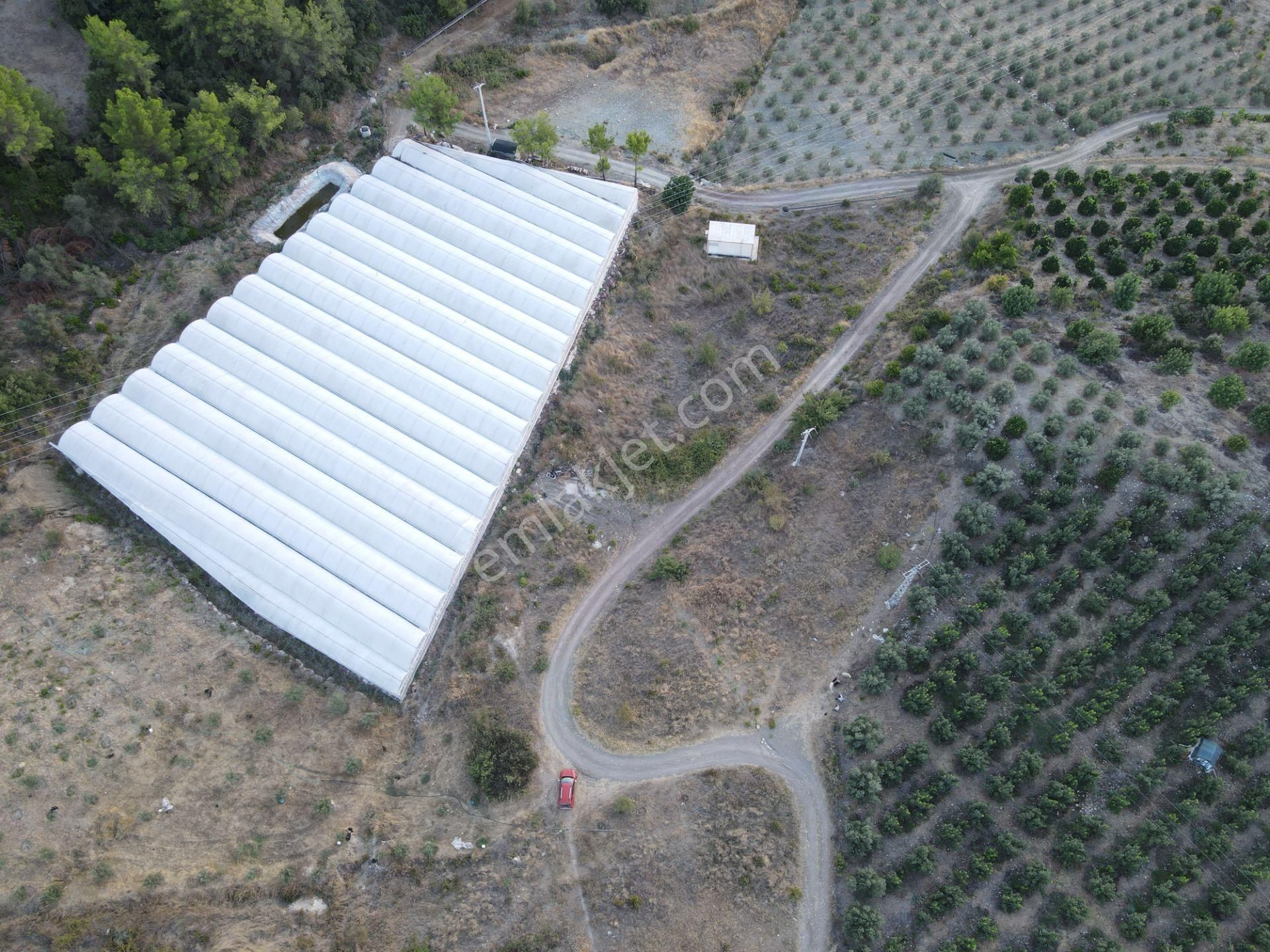 Antalya Kumluca Hasanağa Köyü Satılık Tarla - Görsel 19