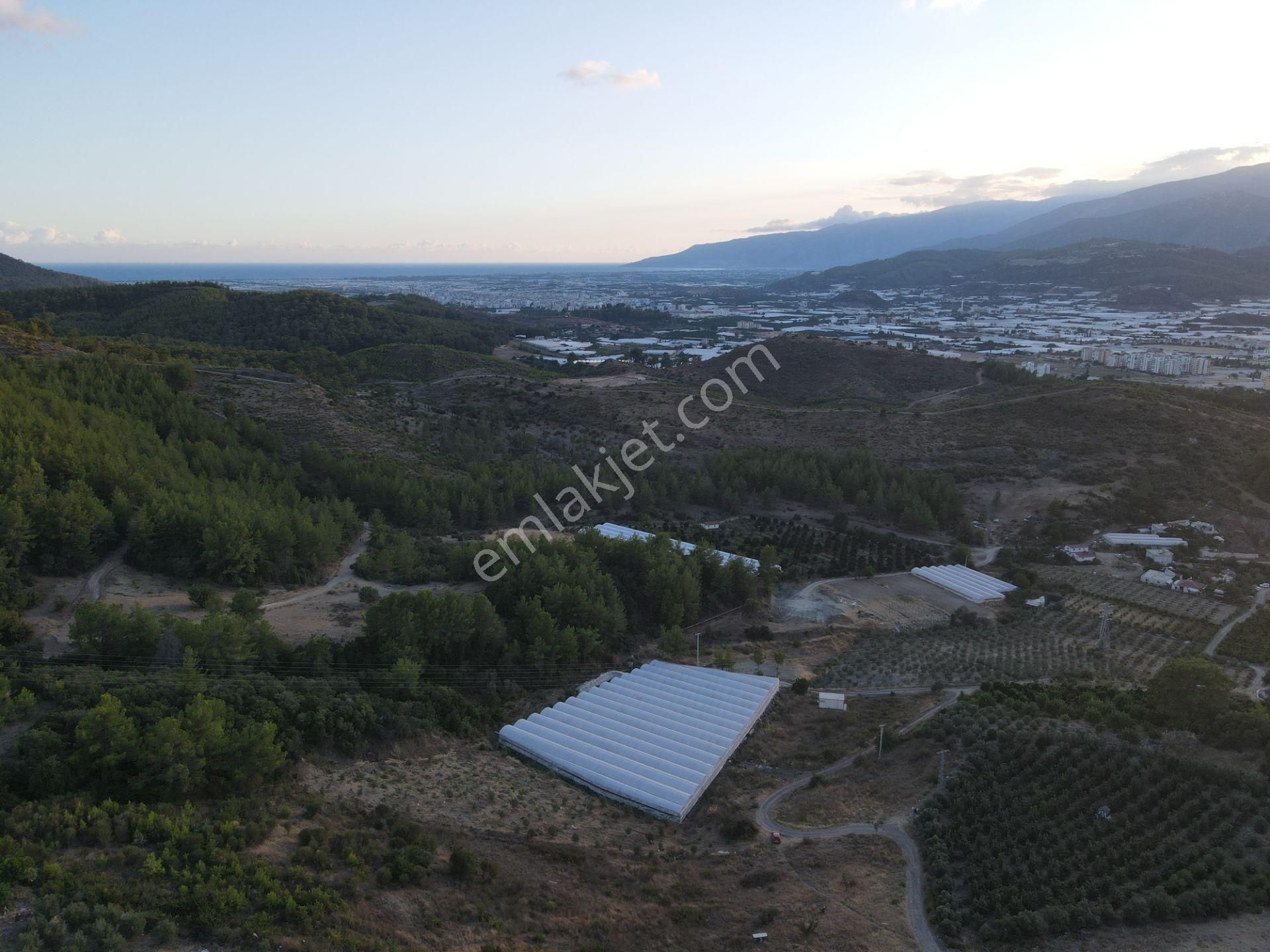 Antalya Kumluca Hasanağa Köyü Satılık Tarla - Görsel 8