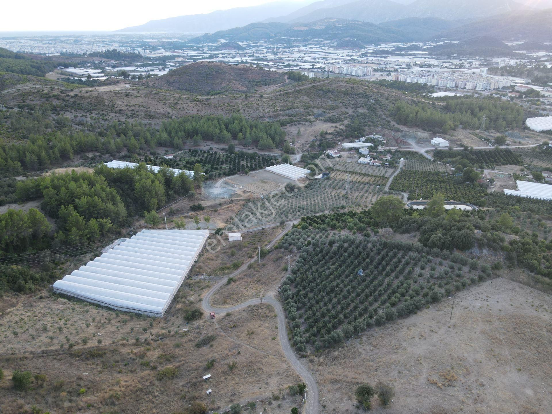 Antalya Kumluca Hasanağa Köyü Satılık Tarla - Görsel 15