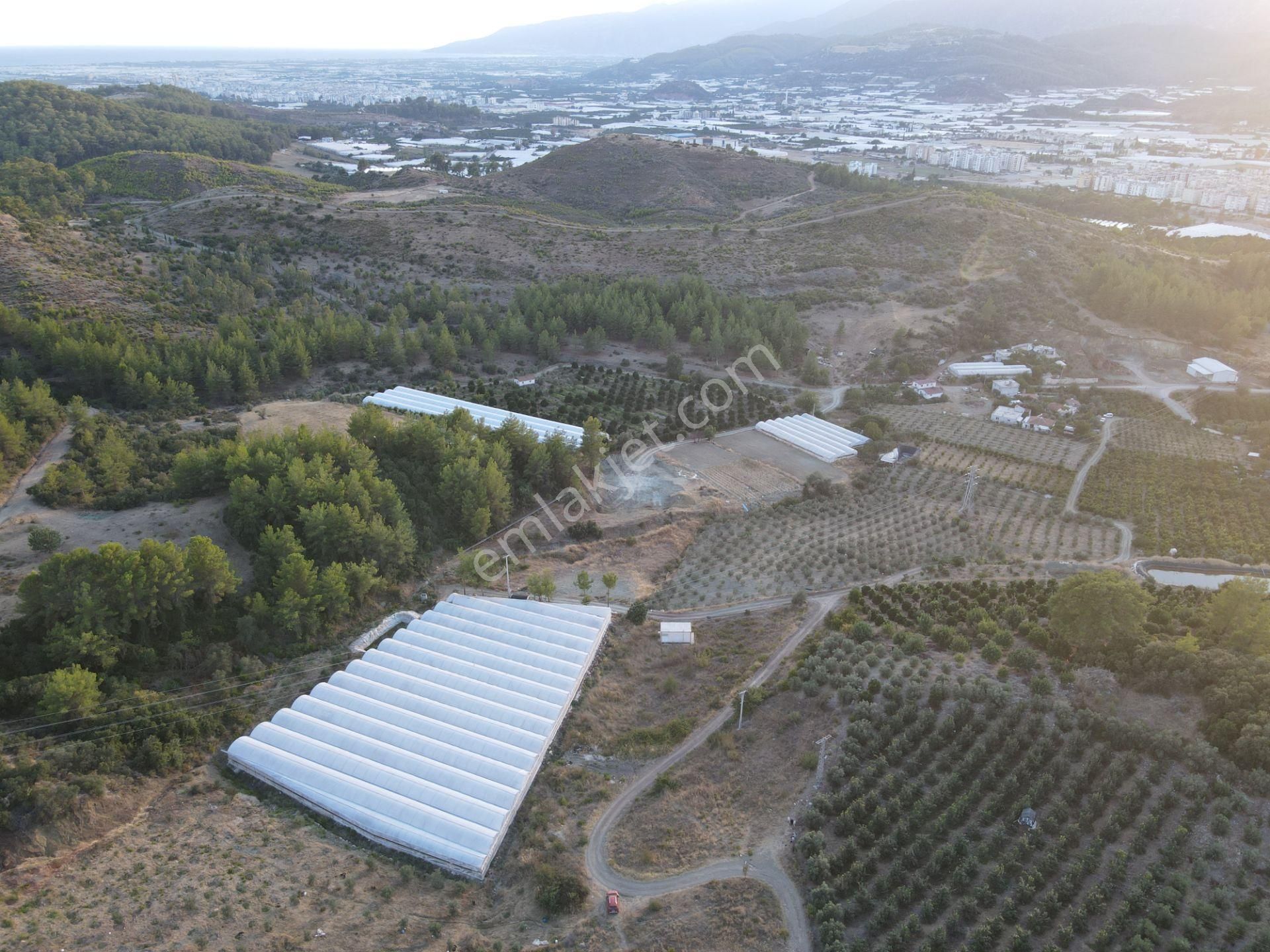 Antalya Kumluca Hasanağa Köyü Satılık Tarla - Görsel 7