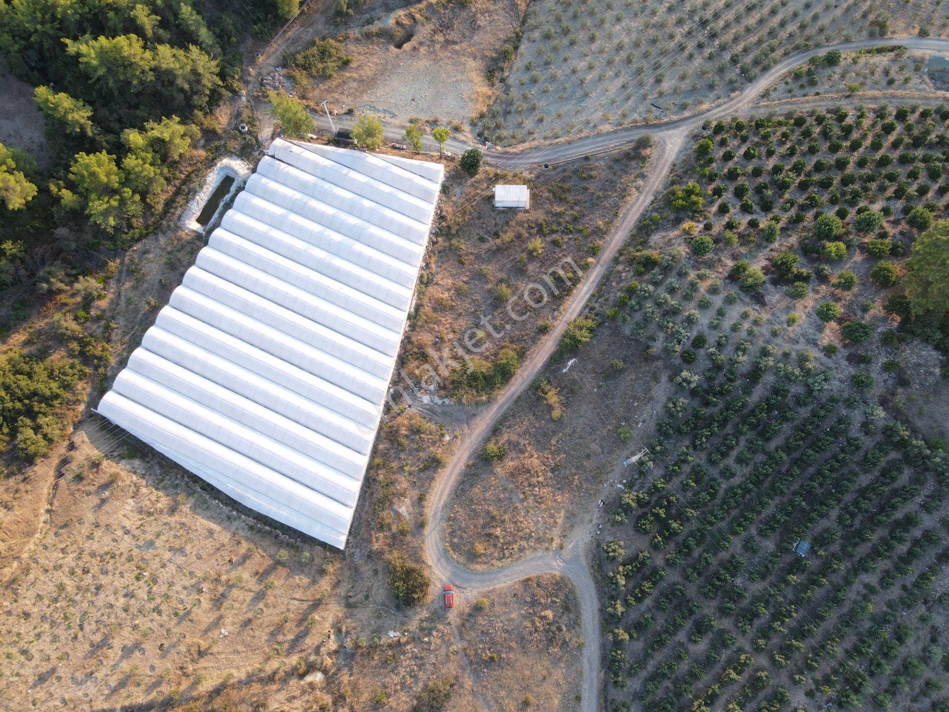 Antalya Kumluca Hasanağa Köyü Satılık Tarla - Görsel 5