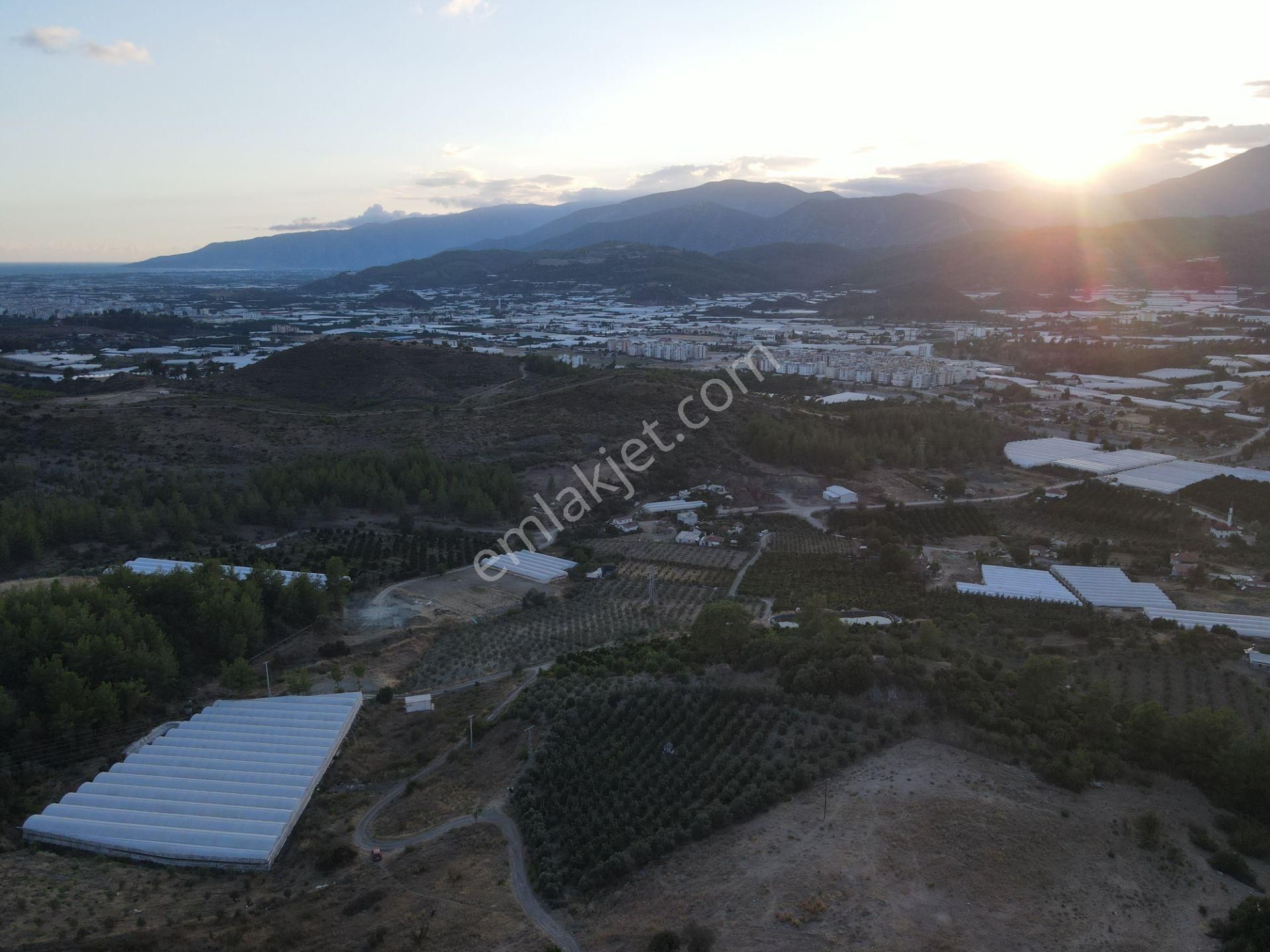 Antalya Kumluca Hasanağa Köyü Satılık Tarla - Görsel 11