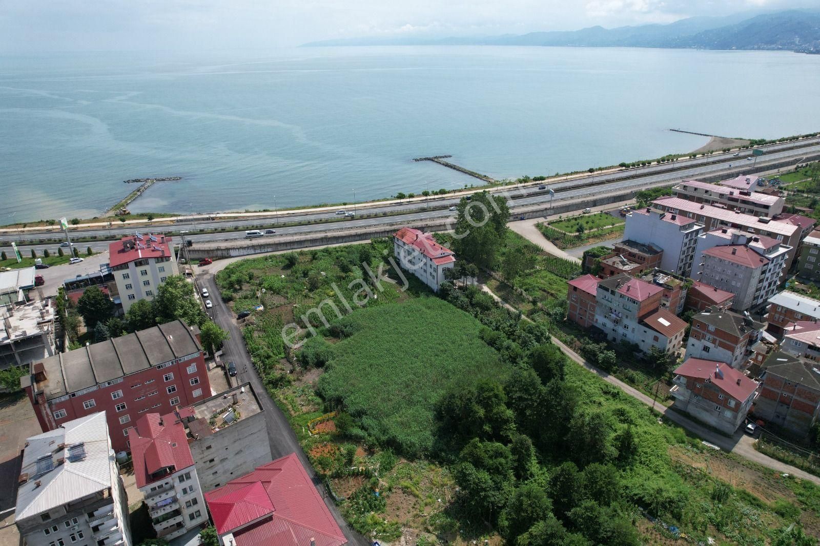 Trabzon Araklı Kat Karşılığı Konut İmarlı Trabzon Araklı'da Kat Karşılığı Arsa