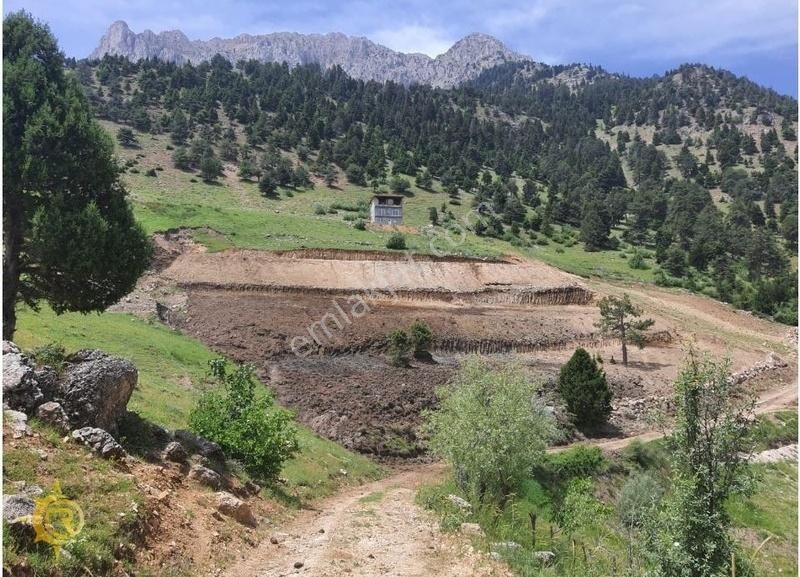 Onikişubat Tekir Satılık Tarla Tekir Yayla'da Yeri Düzlenmiş Müstakil Parsel Satılık Arazi