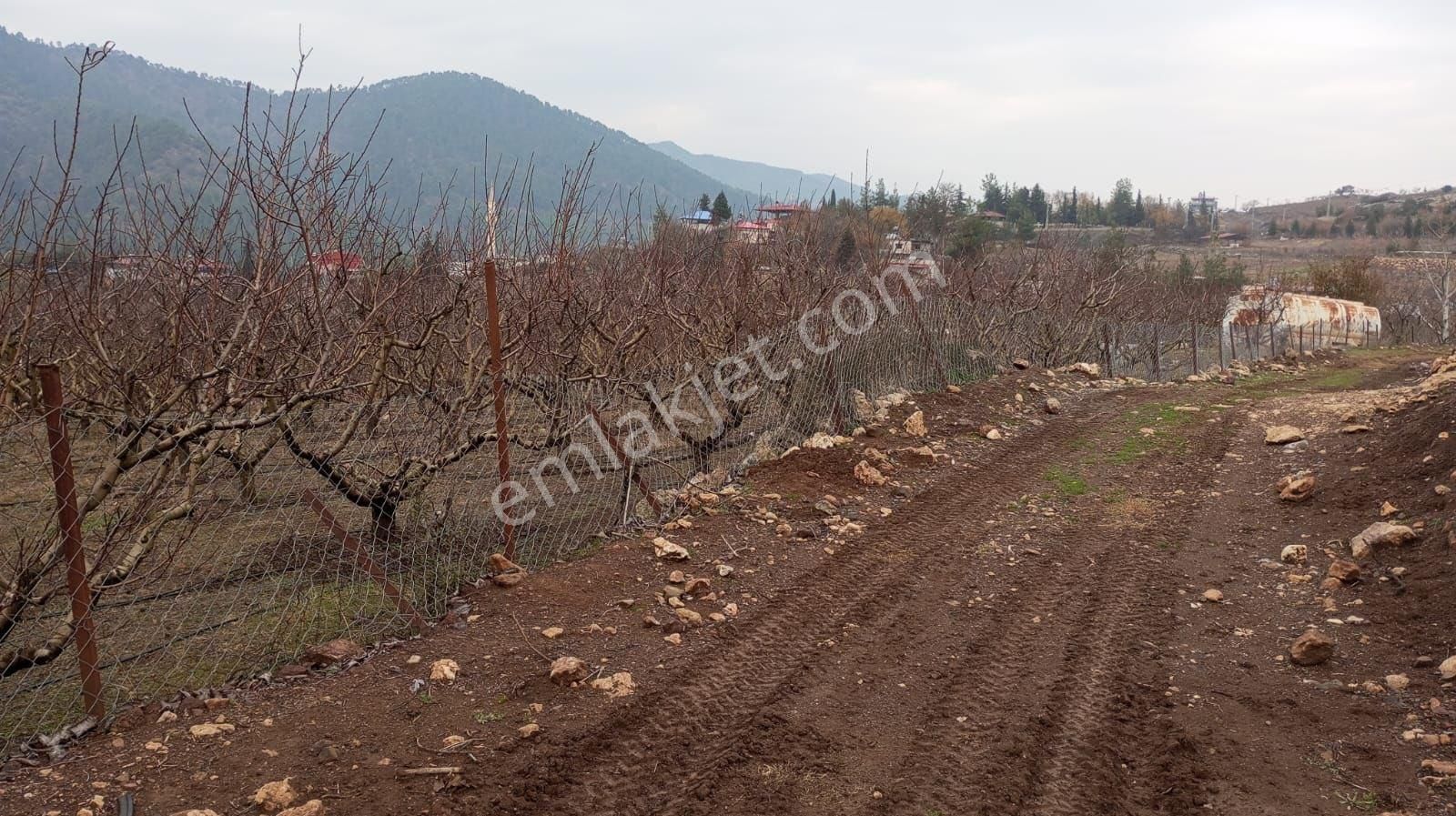 Toroslar Kayrakkeşli Satılık Bağ & Bahçe Mersine 15 Km Uzaklıkta Kayrakeşli De Bakımlı Bahçe