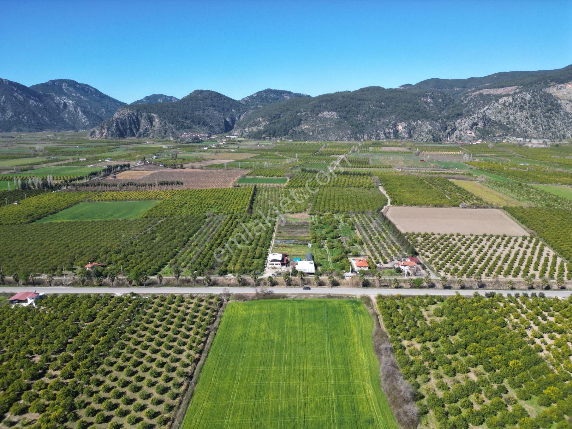 Muğla Ortaca Akıncı Mahallesi'nde Satılık İki Köy Evi Ve 7700 M² - Görsel 11