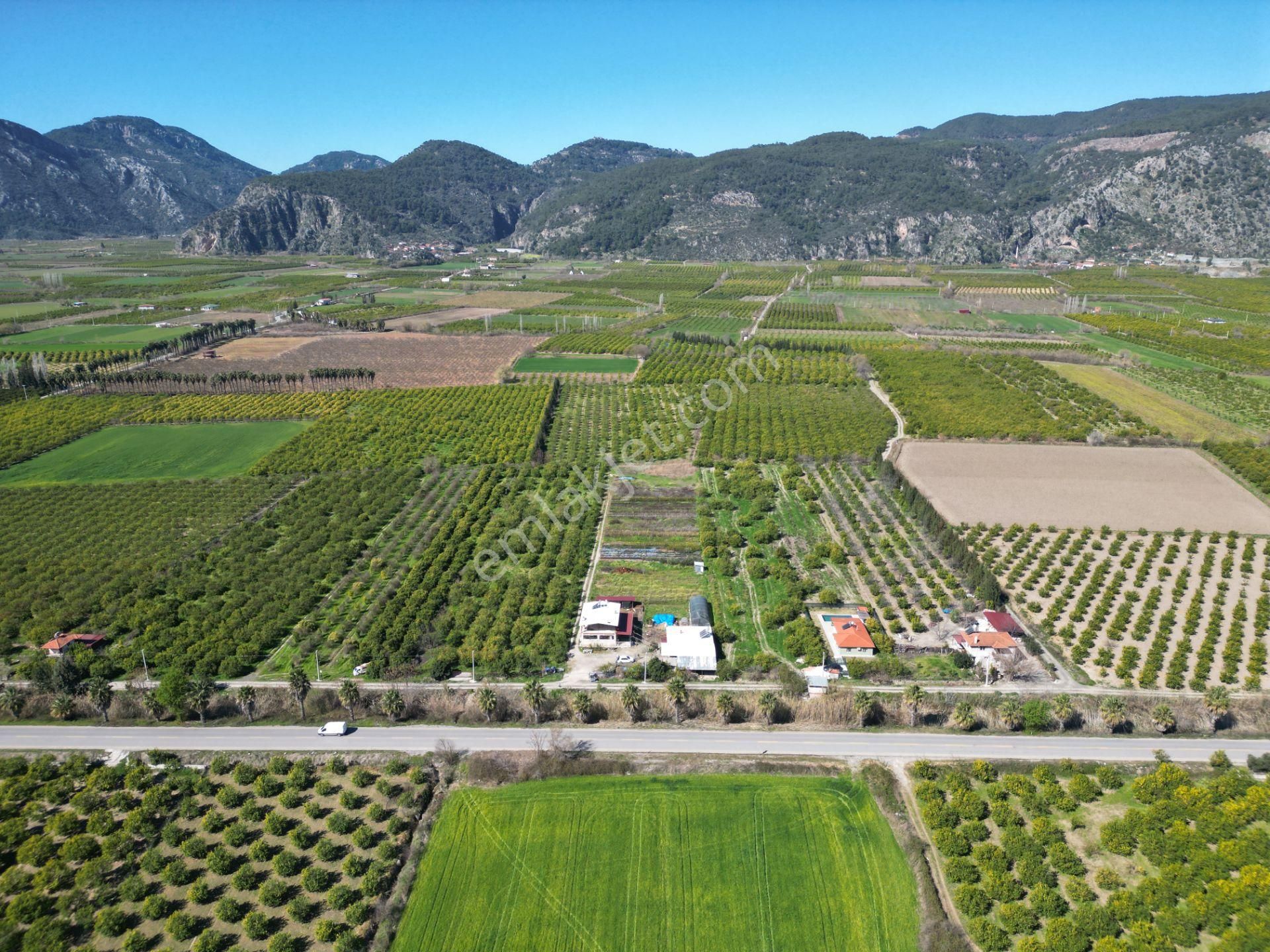 Muğla Ortaca Akıncı Mahallesi'nde Satılık İki Köy Evi Ve 7700 M² - Görsel 10